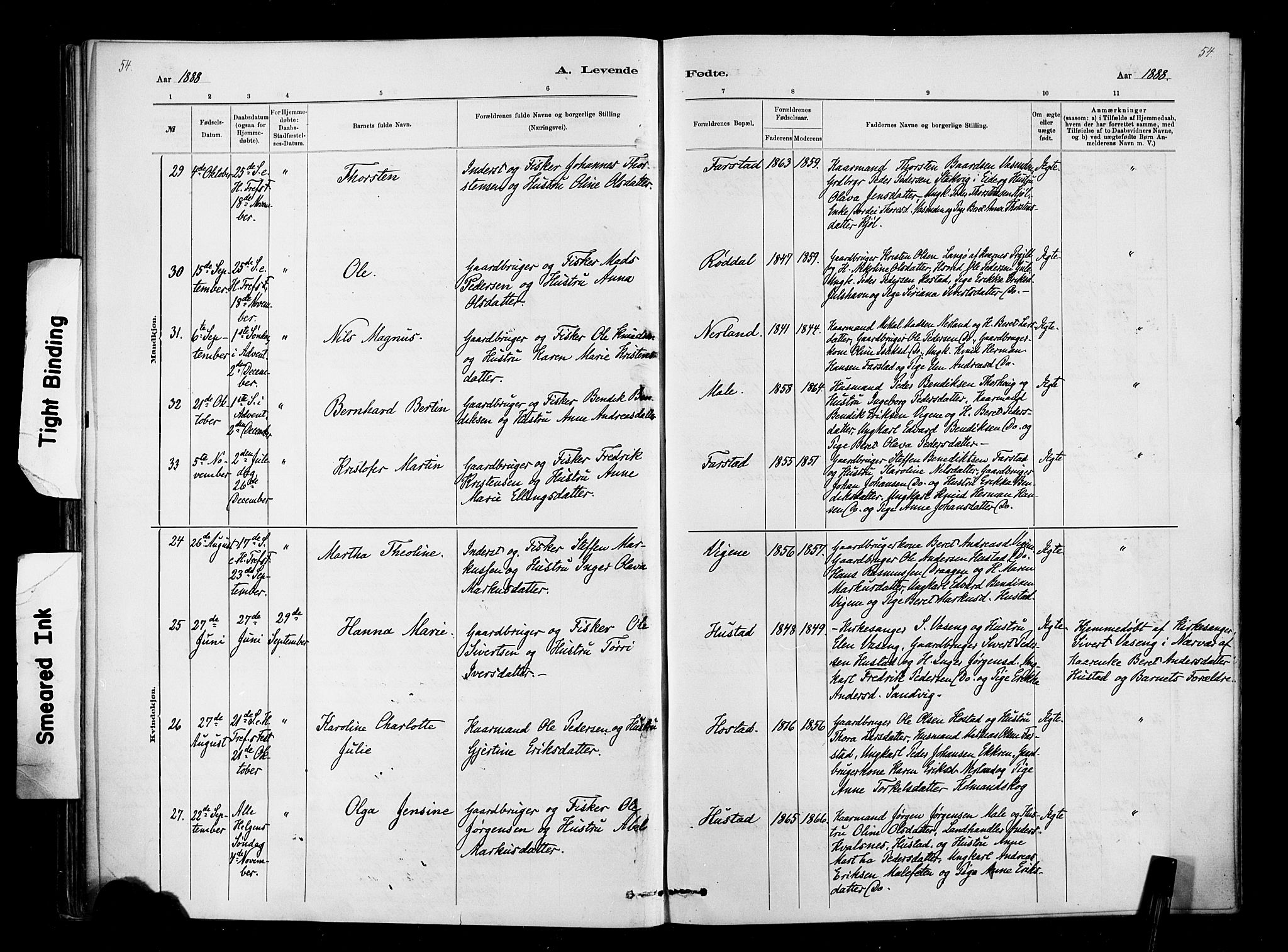 Ministerialprotokoller, klokkerbøker og fødselsregistre - Møre og Romsdal, AV/SAT-A-1454/567/L0778: Parish register (official) no. 567A01, 1881-1903, p. 54