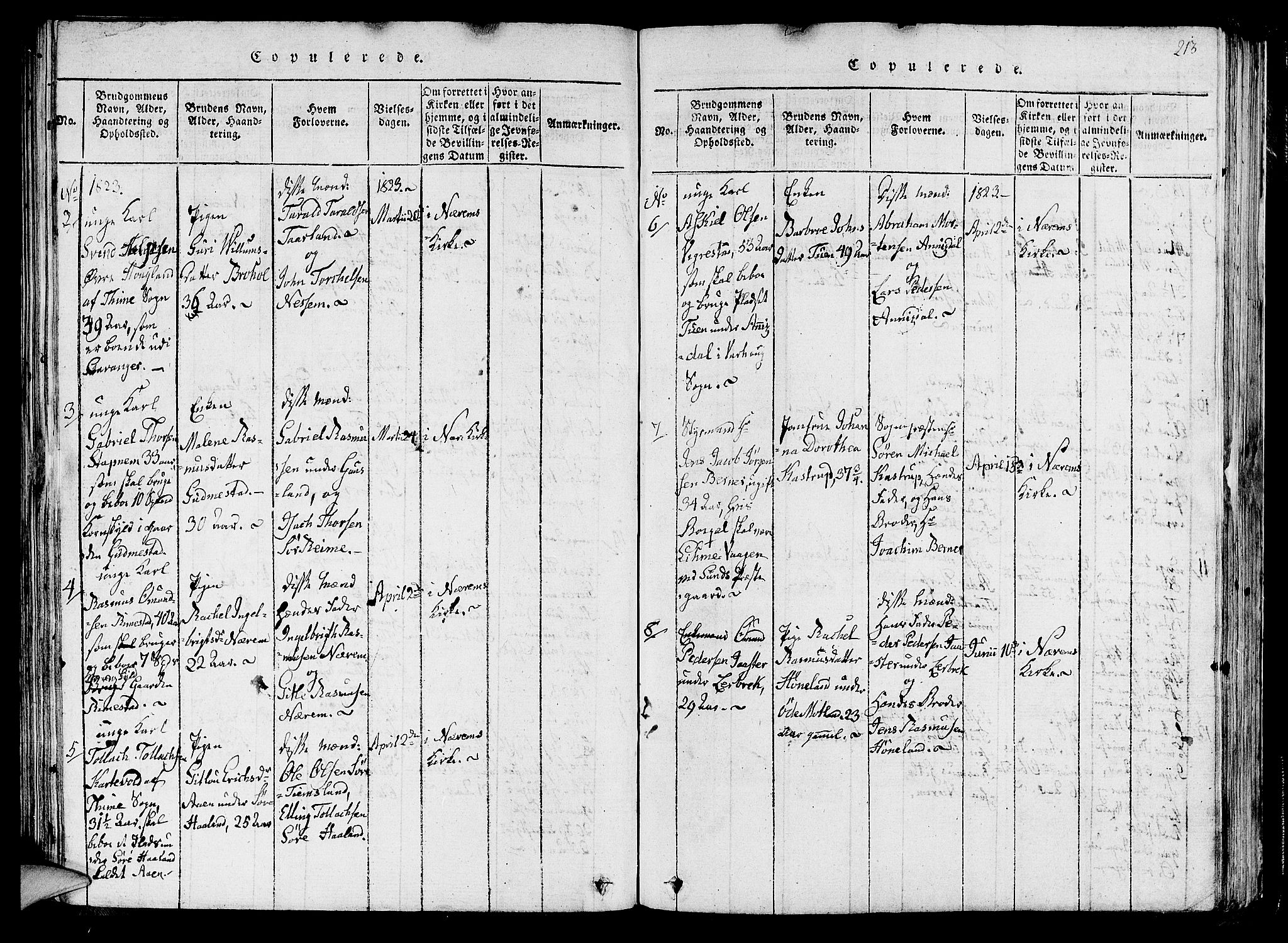 Hå sokneprestkontor, AV/SAST-A-101801/001/30BA/L0003: Parish register (official) no. A 3, 1815-1825, p. 213