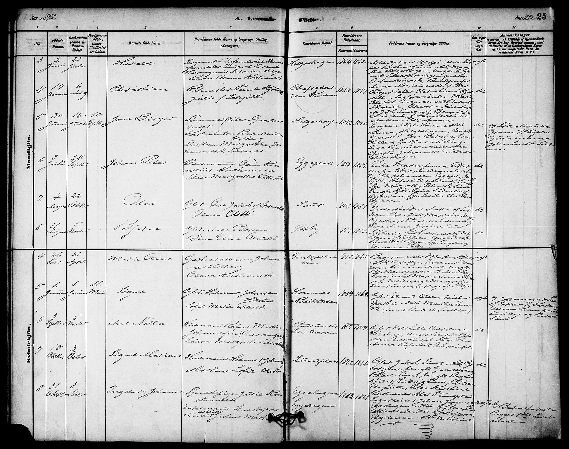 Ministerialprotokoller, klokkerbøker og fødselsregistre - Nord-Trøndelag, AV/SAT-A-1458/740/L0378: Parish register (official) no. 740A01, 1881-1895, p. 25