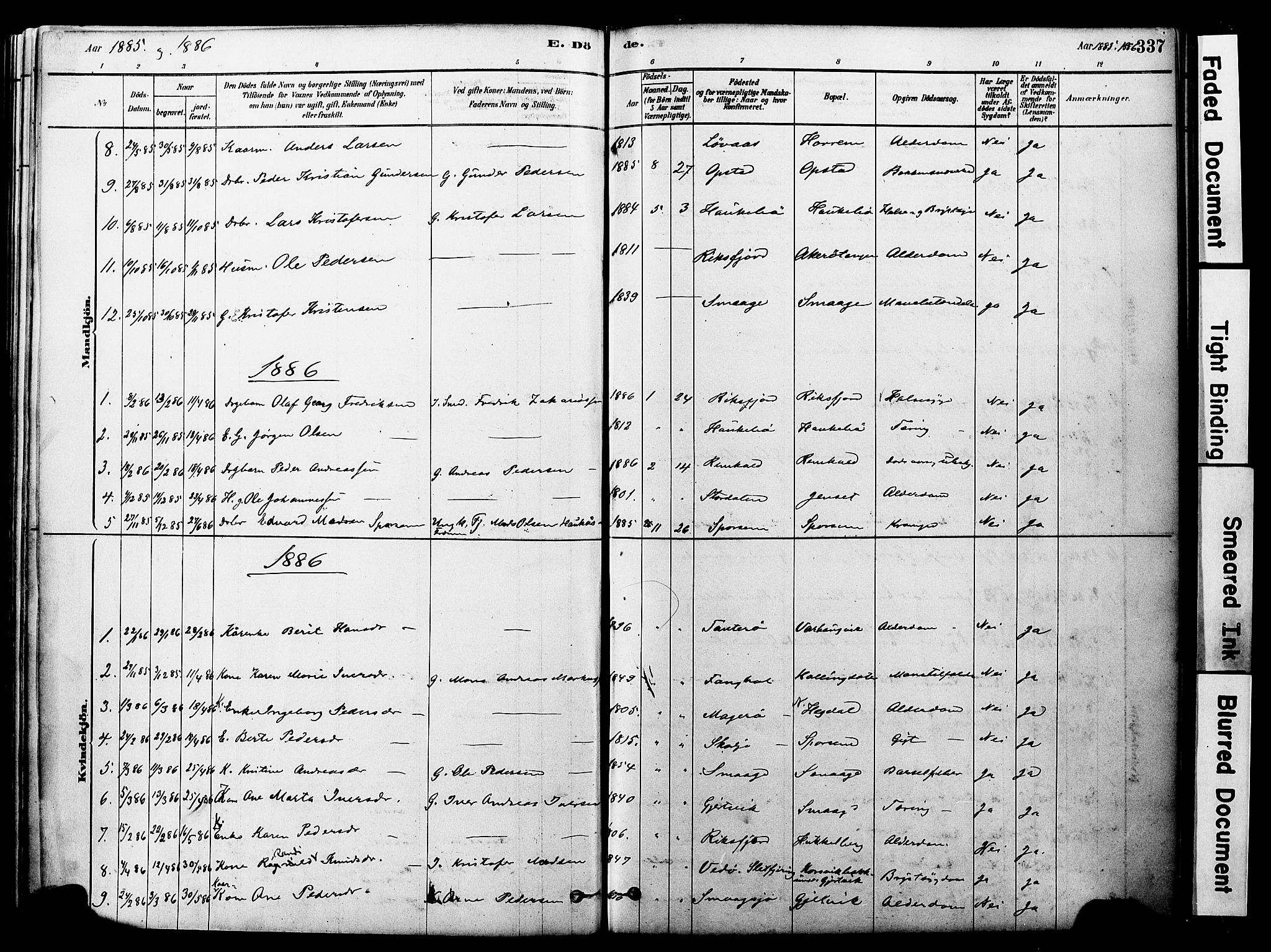 Ministerialprotokoller, klokkerbøker og fødselsregistre - Møre og Romsdal, AV/SAT-A-1454/560/L0721: Parish register (official) no. 560A05, 1878-1917, p. 337