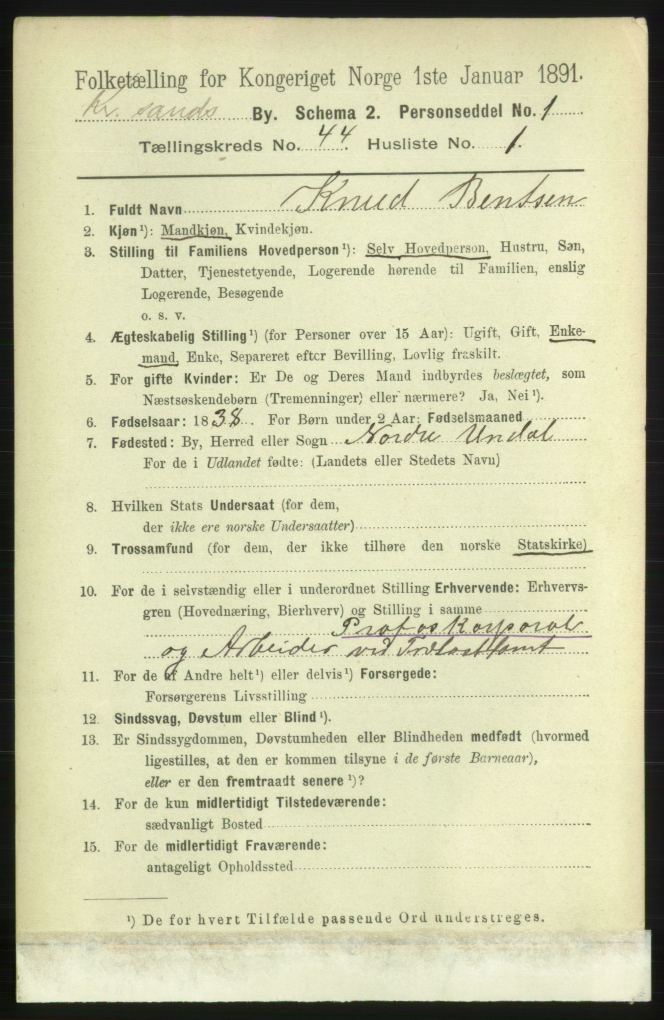 RA, 1891 census for 1001 Kristiansand, 1891, p. 13313