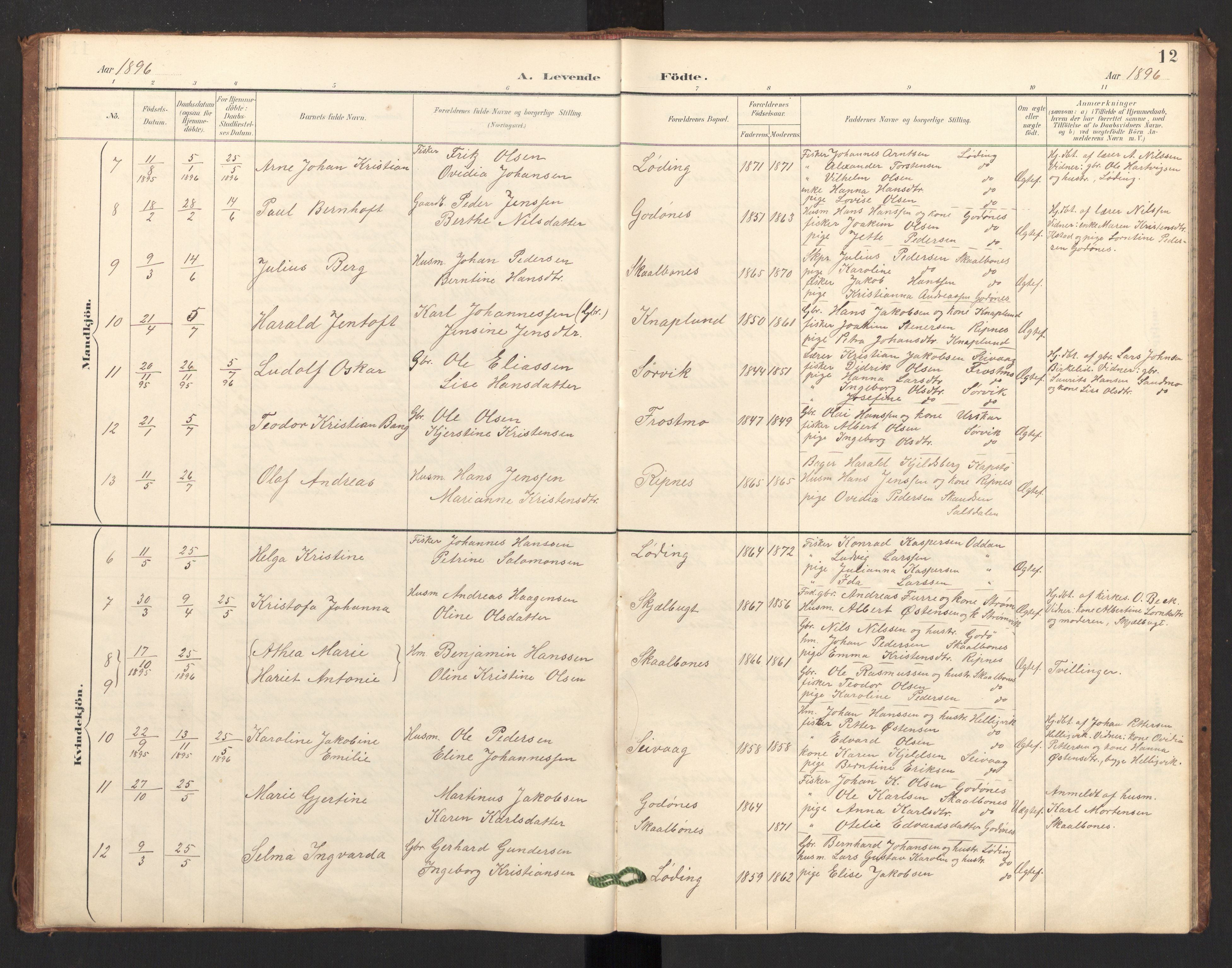 Ministerialprotokoller, klokkerbøker og fødselsregistre - Nordland, AV/SAT-A-1459/804/L0087: Parish register (official) no. 804A08, 1894-1907, p. 12