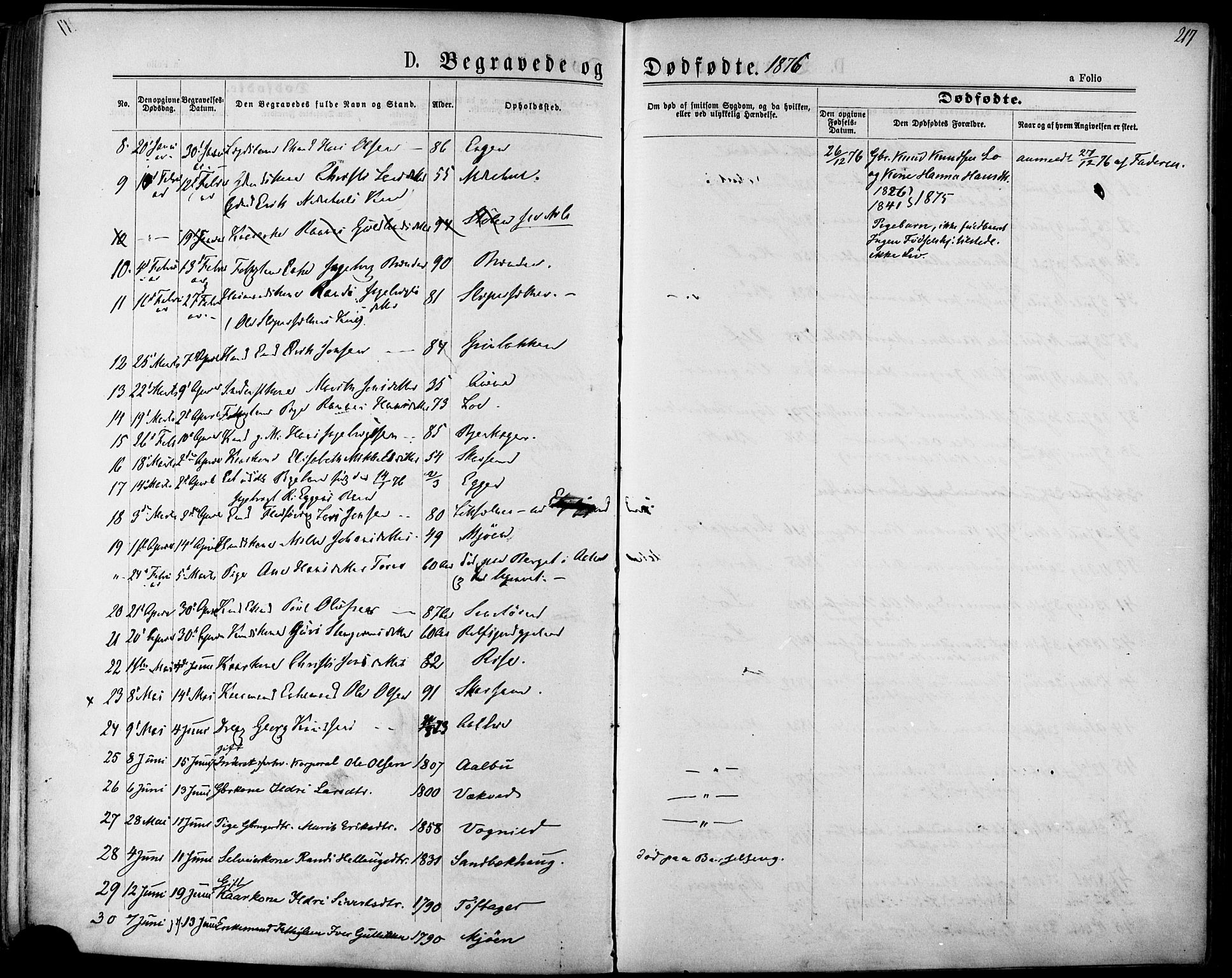Ministerialprotokoller, klokkerbøker og fødselsregistre - Sør-Trøndelag, SAT/A-1456/678/L0900: Parish register (official) no. 678A09, 1872-1881, p. 217