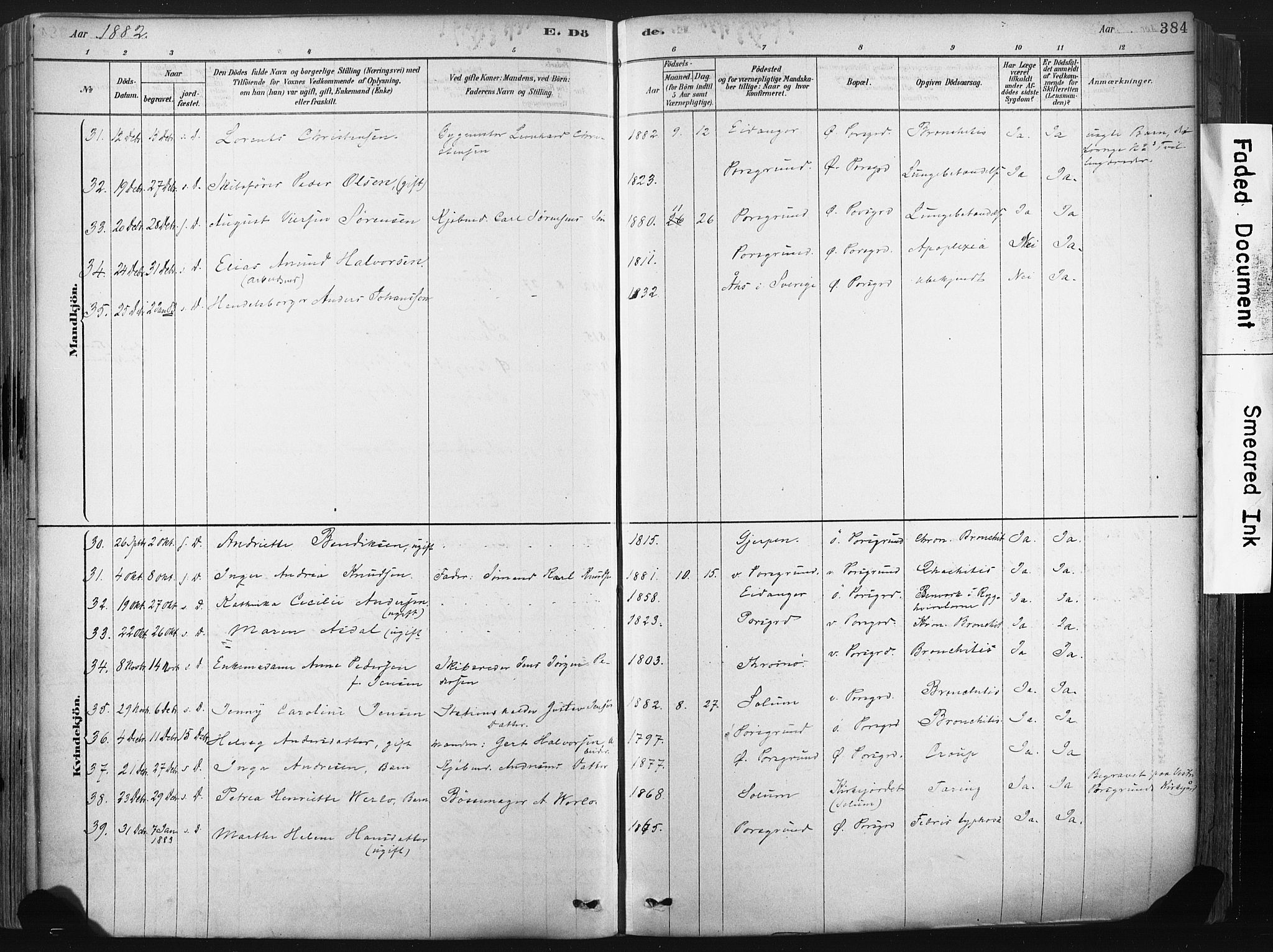 Porsgrunn kirkebøker , AV/SAKO-A-104/F/Fa/L0008: Parish register (official) no. 8, 1878-1895, p. 384