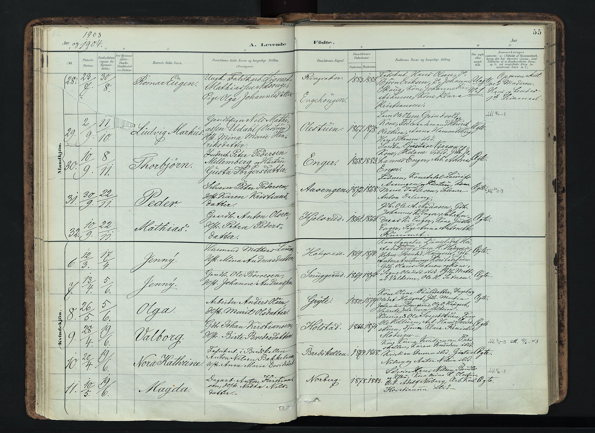 Vardal prestekontor, AV/SAH-PREST-100/H/Ha/Haa/L0019: Parish register (official) no. 19, 1893-1907, p. 55