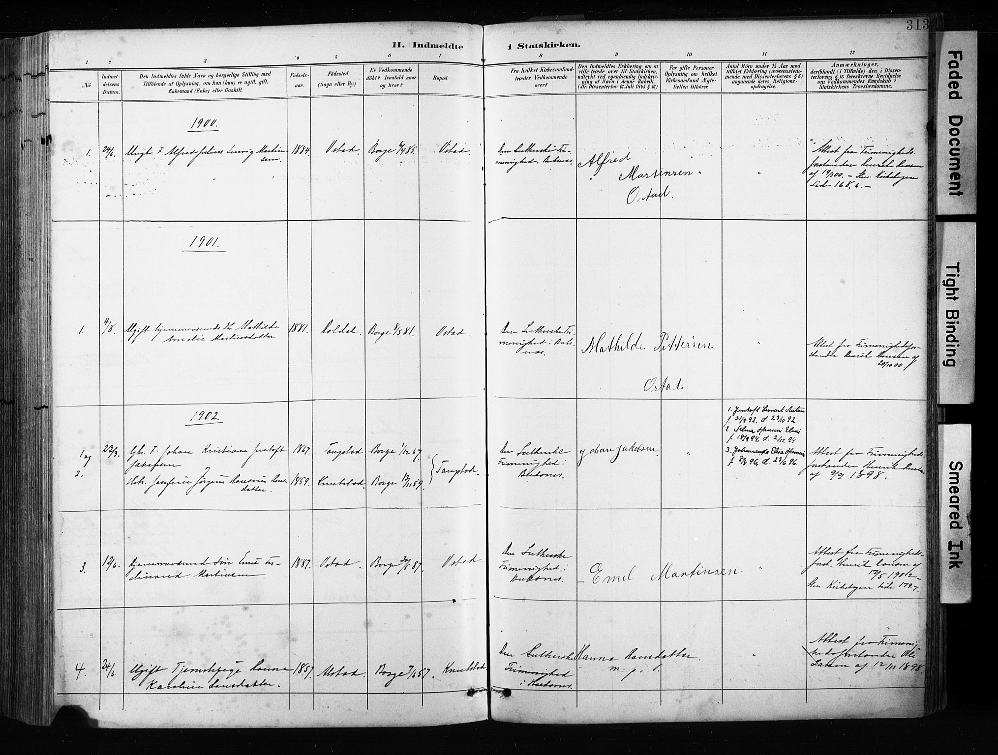 Ministerialprotokoller, klokkerbøker og fødselsregistre - Nordland, AV/SAT-A-1459/880/L1134: Parish register (official) no. 880A08, 1899-1908, p. 313