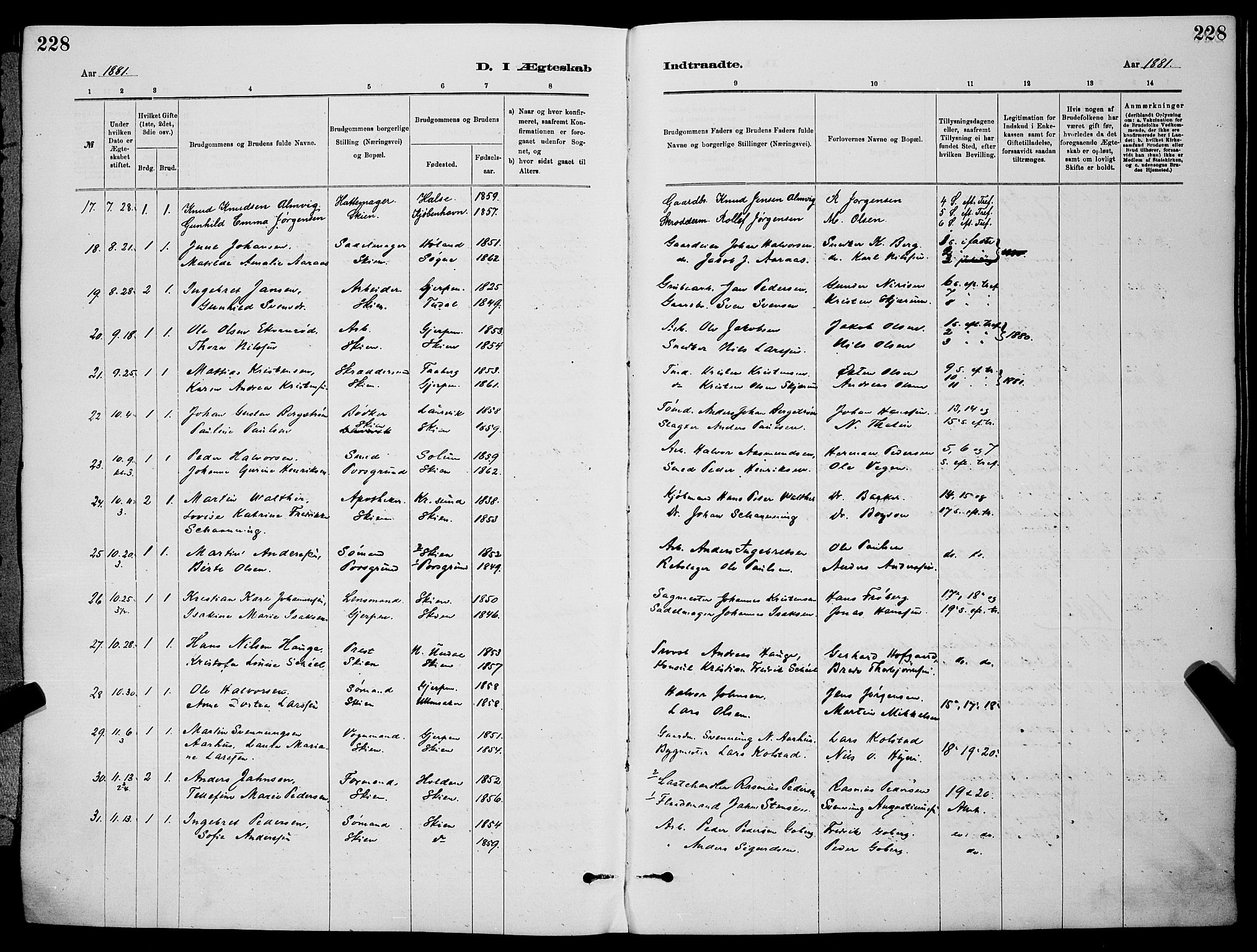 Skien kirkebøker, SAKO/A-302/G/Ga/L0006: Parish register (copy) no. 6, 1881-1890, p. 228