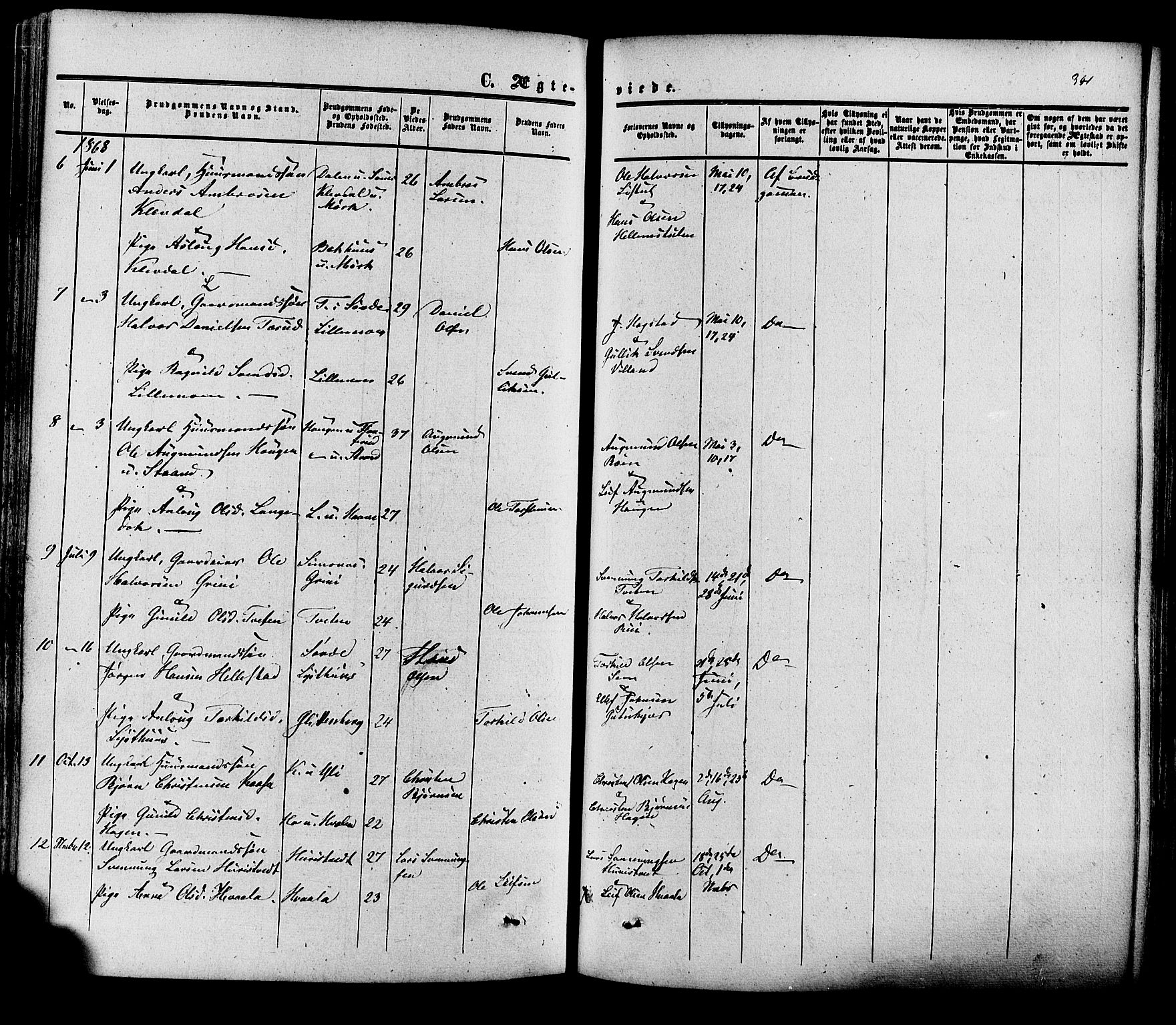 Heddal kirkebøker, SAKO/A-268/F/Fa/L0007: Parish register (official) no. I 7, 1855-1877, p. 341