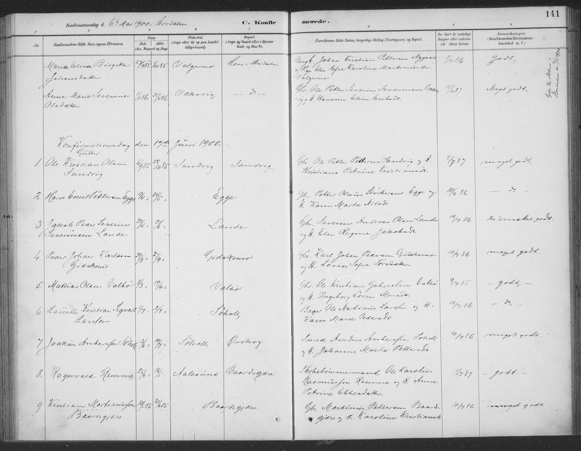 Ministerialprotokoller, klokkerbøker og fødselsregistre - Møre og Romsdal, AV/SAT-A-1454/522/L0316: Parish register (official) no. 522A11, 1890-1911, p. 141