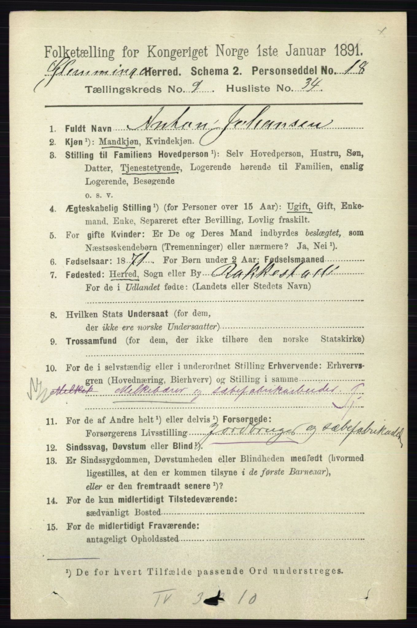 RA, 1891 census for 0132 Glemmen, 1891, p. 9896