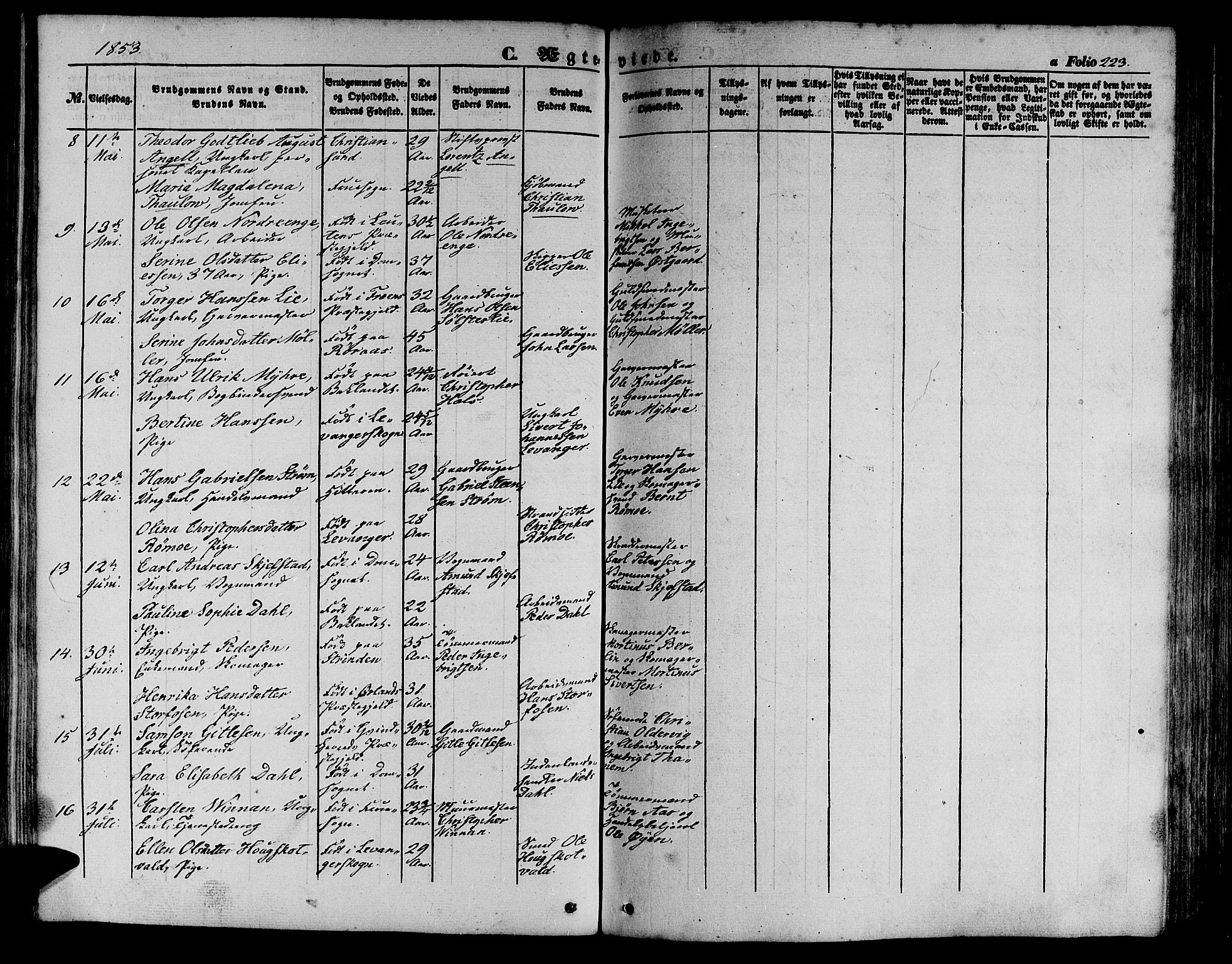 Ministerialprotokoller, klokkerbøker og fødselsregistre - Sør-Trøndelag, SAT/A-1456/602/L0137: Parish register (copy) no. 602C05, 1846-1856, p. 223
