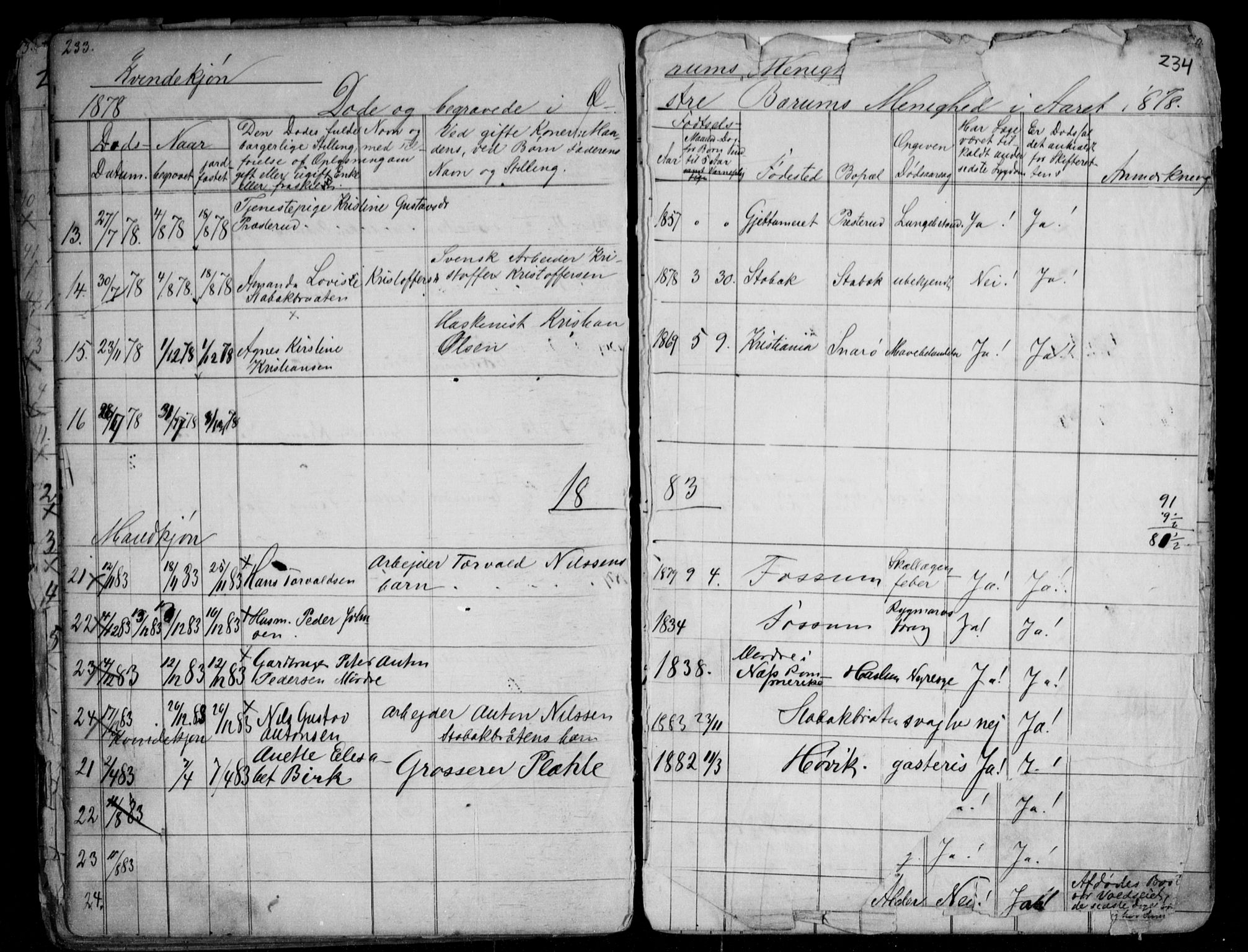 Asker prestekontor Kirkebøker, SAO/A-10256a/G/Gc/L0002: Parish register (copy) no. III 2, 1874-1883, p. 233-234