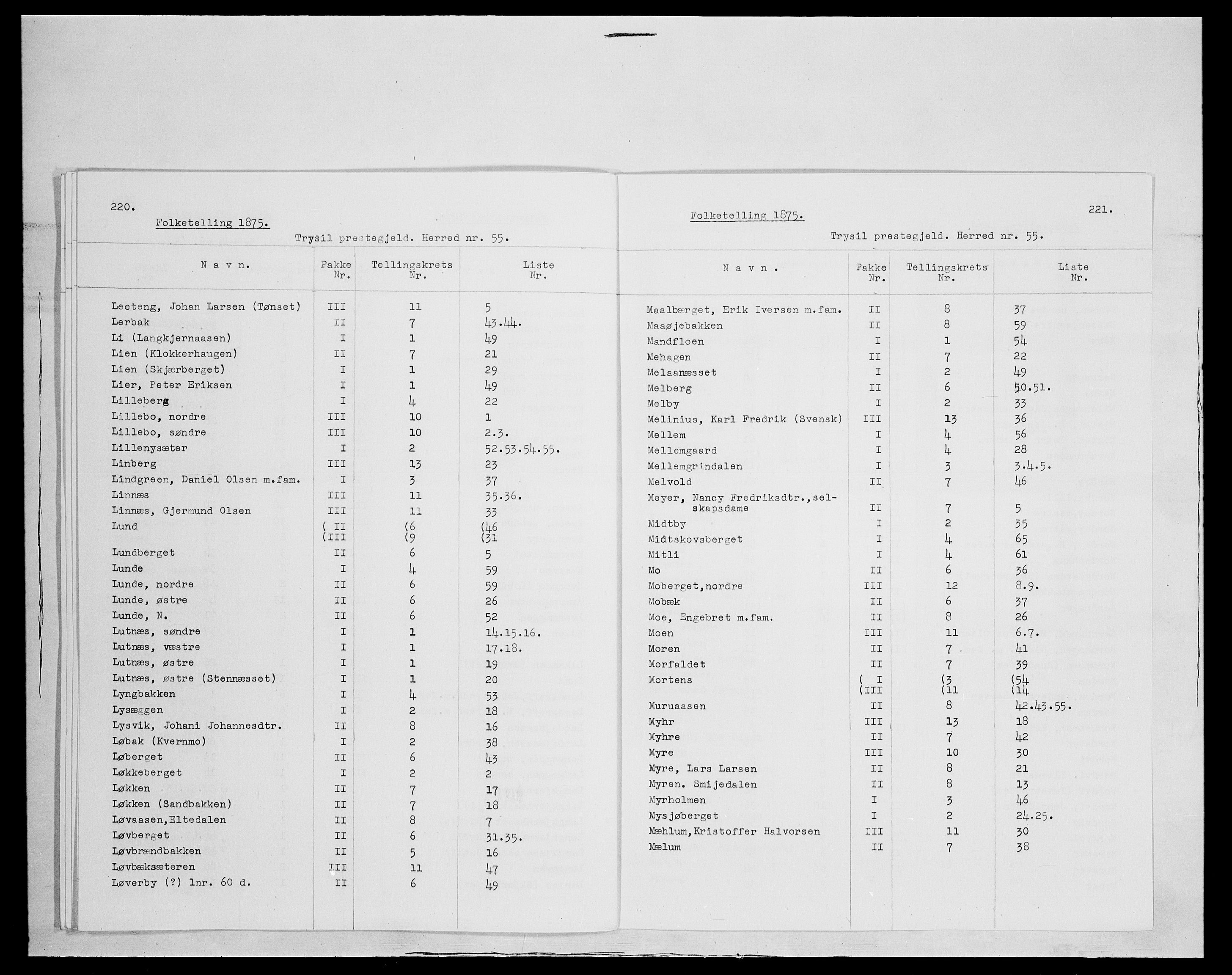 SAH, 1875 census for 0428P Trysil, 1875, p. 5