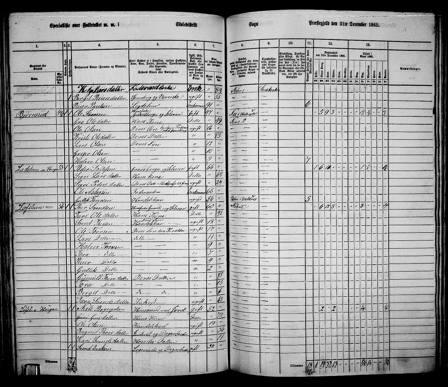 RA, 1865 census for Nore, 1865, p. 109