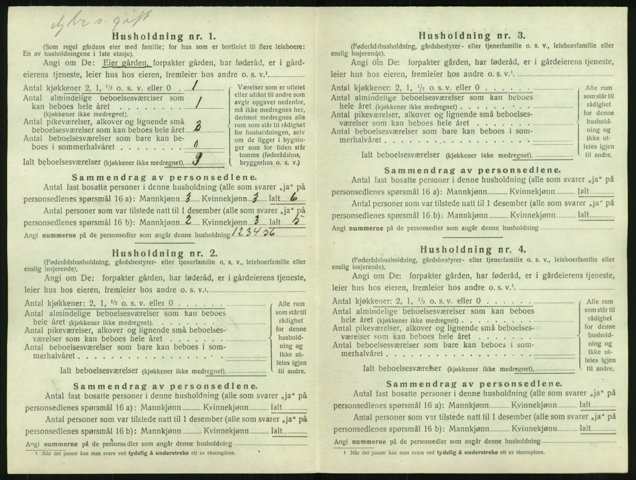 SAT, 1920 census for Borge, 1920, p. 162