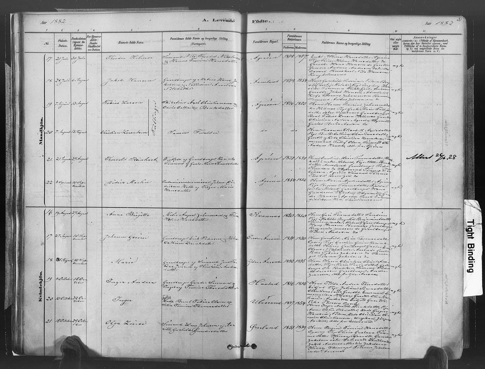 Høvåg sokneprestkontor, AV/SAK-1111-0025/F/Fa/L0005: Parish register (official) no. A 5, 1878-1893, p. 31