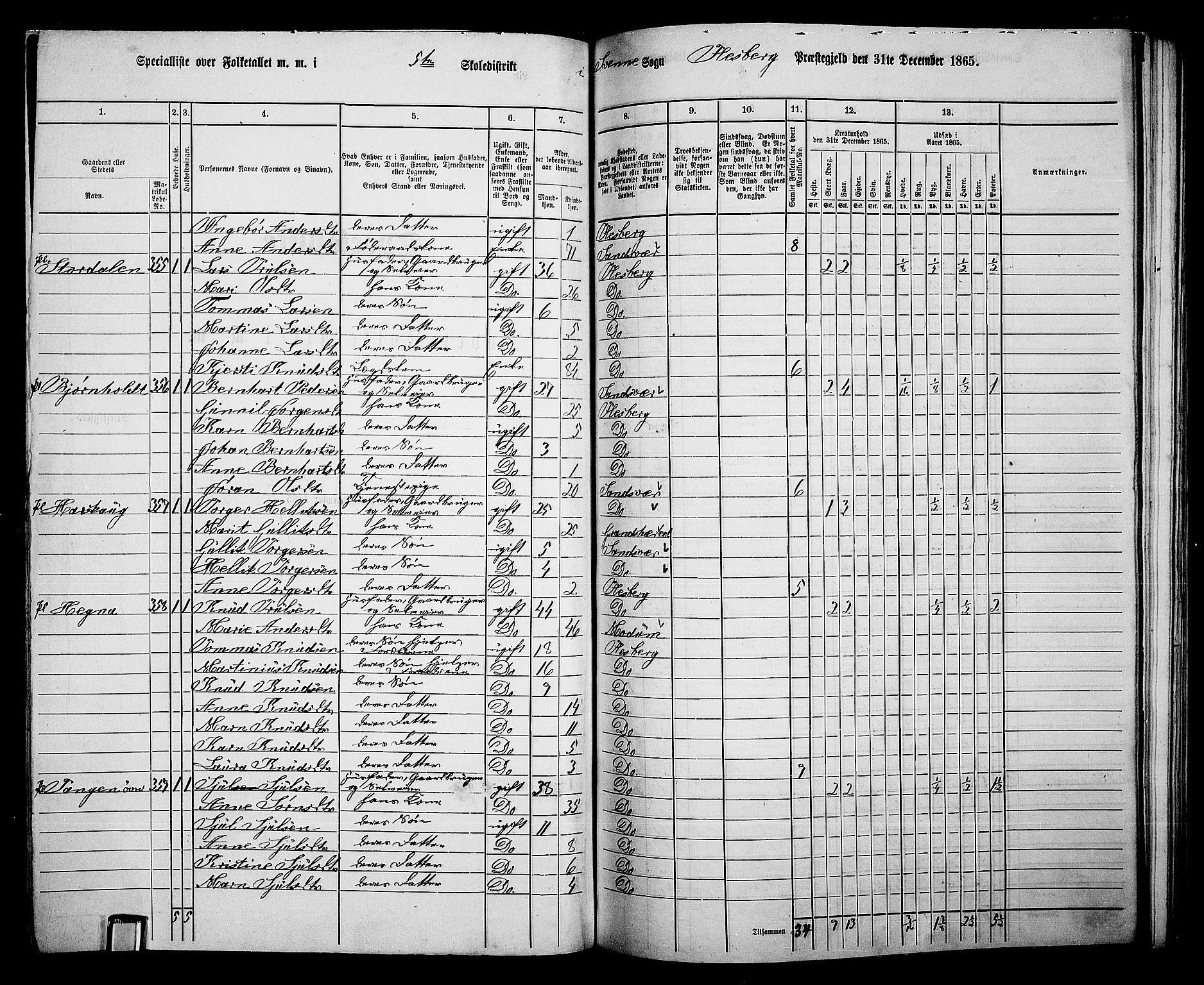 RA, 1865 census for Flesberg, 1865, p. 104