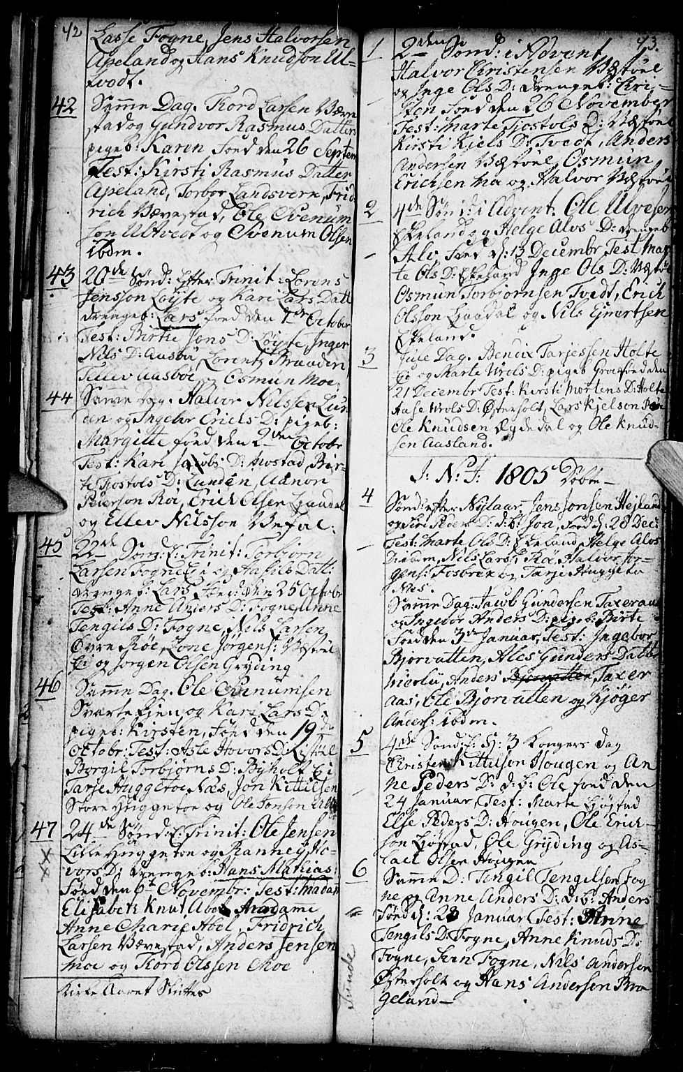 Gjerstad sokneprestkontor, SAK/1111-0014/F/Fb/Fba/L0001: Parish register (copy) no. B 1, 1797-1816, p. 42-43