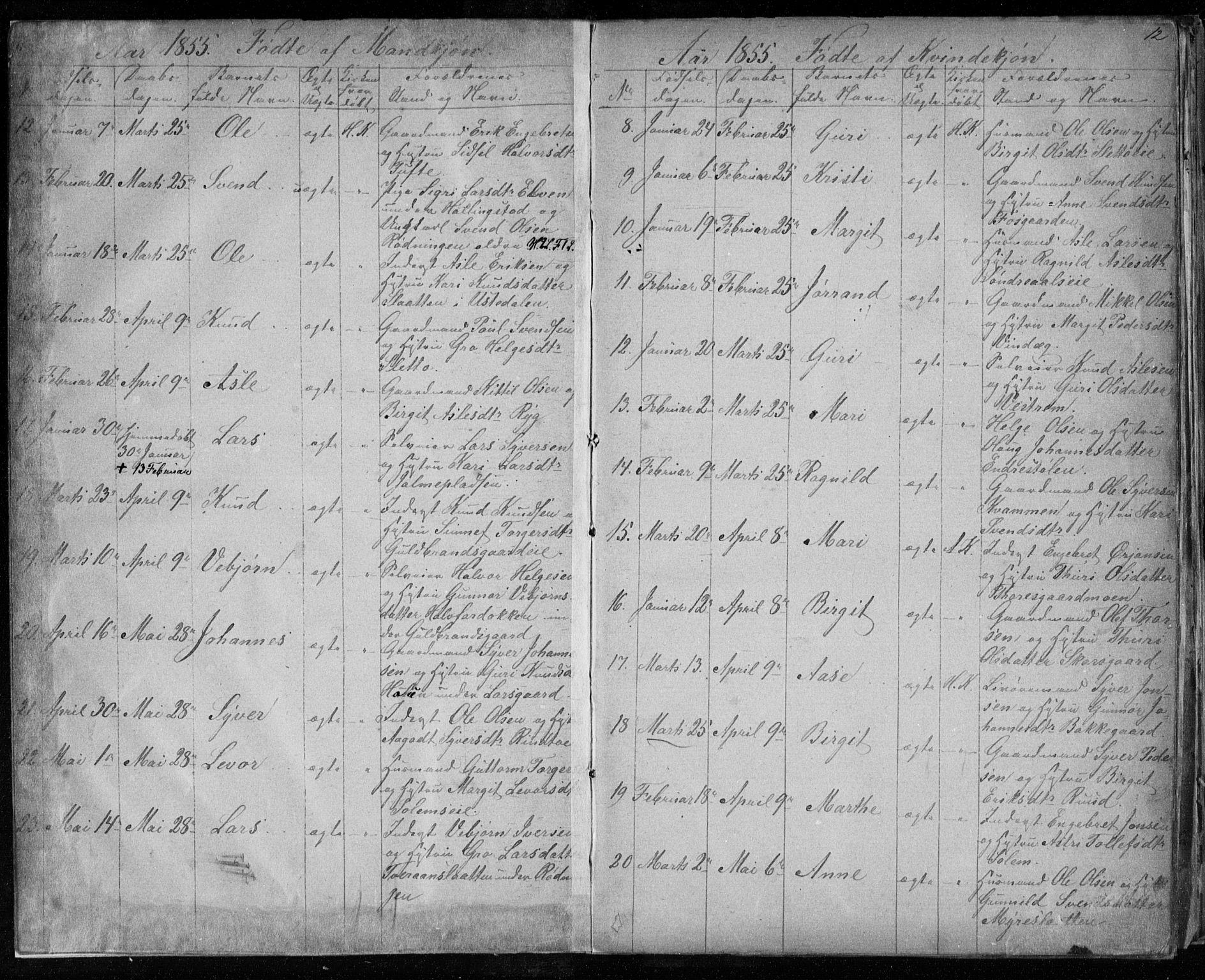 Hol kirkebøker, SAKO/A-227/F/Fa/L0001: Parish register (official) no. I 1, 1850-1870, p. 11-12