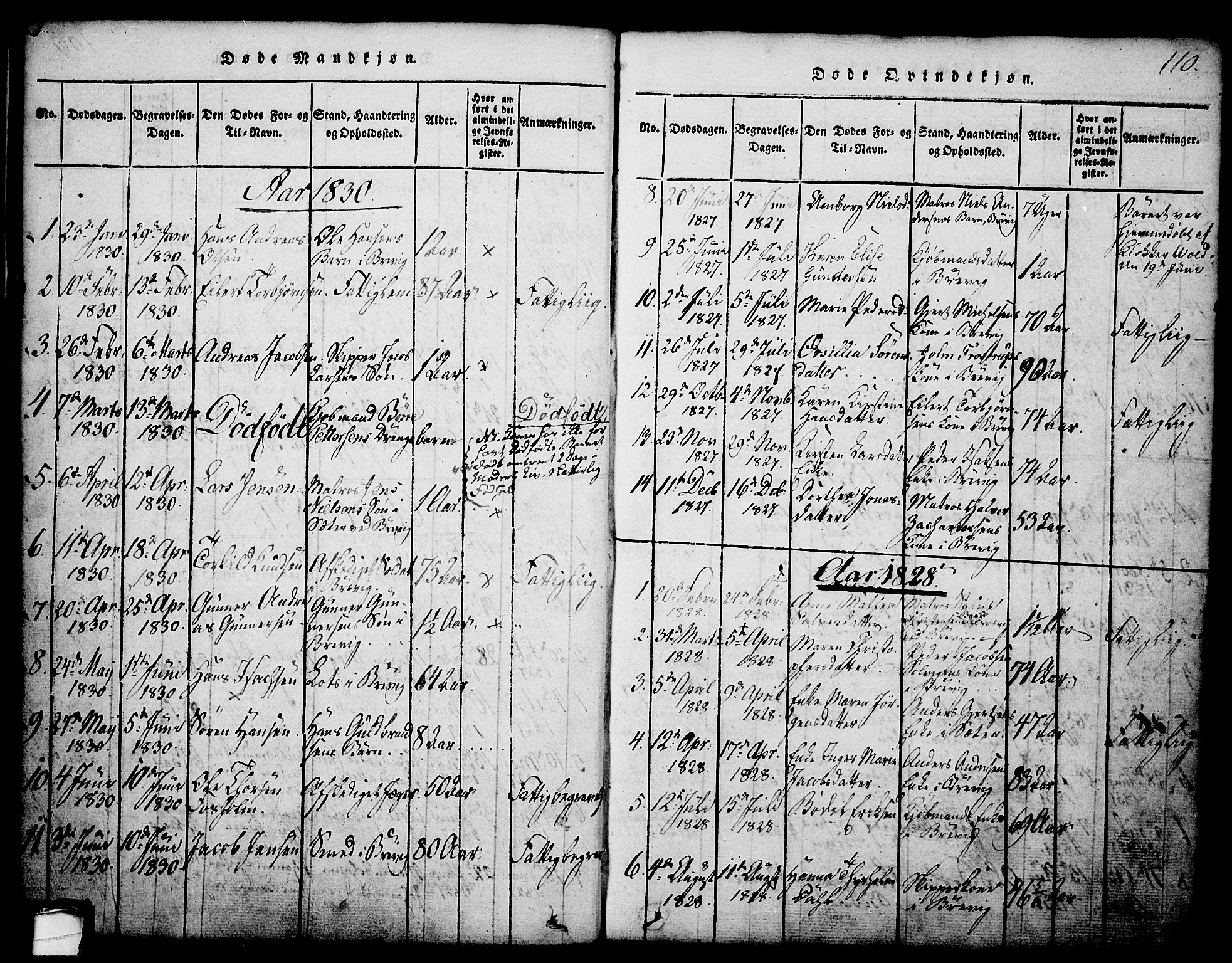 Brevik kirkebøker, AV/SAKO-A-255/G/Ga/L0001: Parish register (copy) no. 1, 1814-1845, p. 110