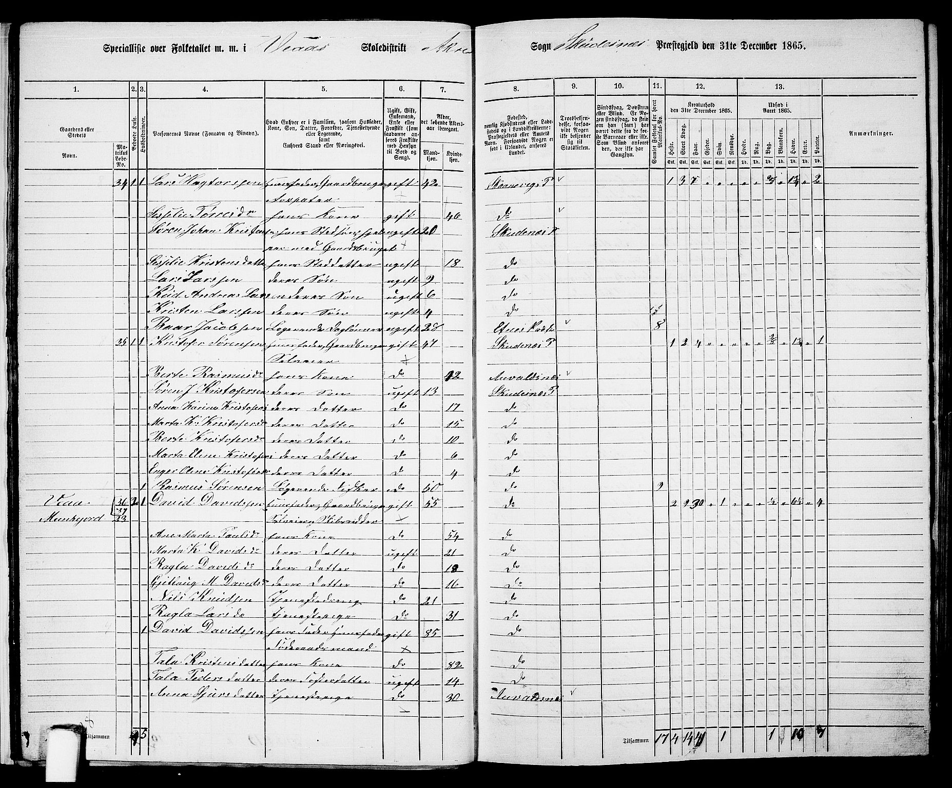 RA, 1865 census for Skudenes, 1865, p. 26