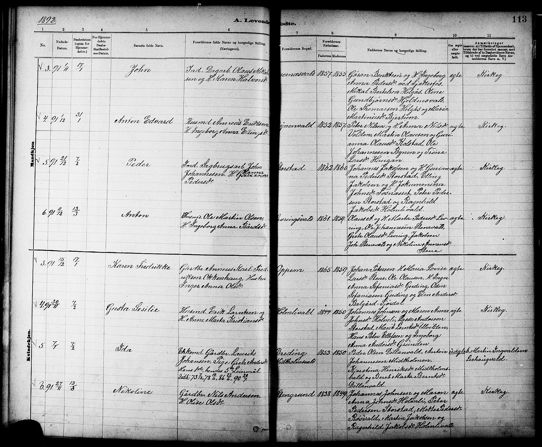 Ministerialprotokoller, klokkerbøker og fødselsregistre - Nord-Trøndelag, AV/SAT-A-1458/724/L0267: Parish register (copy) no. 724C03, 1879-1898, p. 113