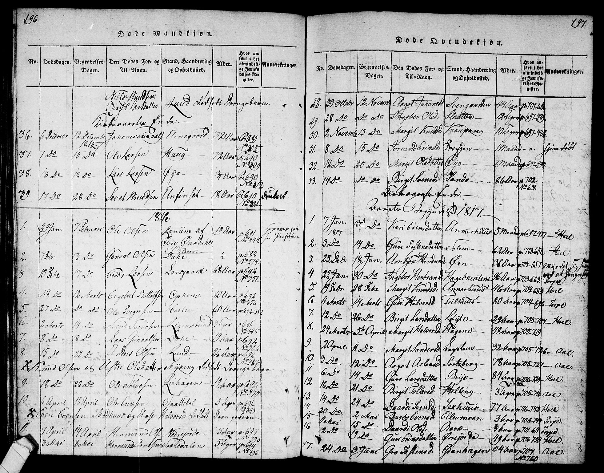 Ål kirkebøker, AV/SAKO-A-249/G/Ga/L0001: Parish register (copy) no. 1, 1815-1829, p. 196-197