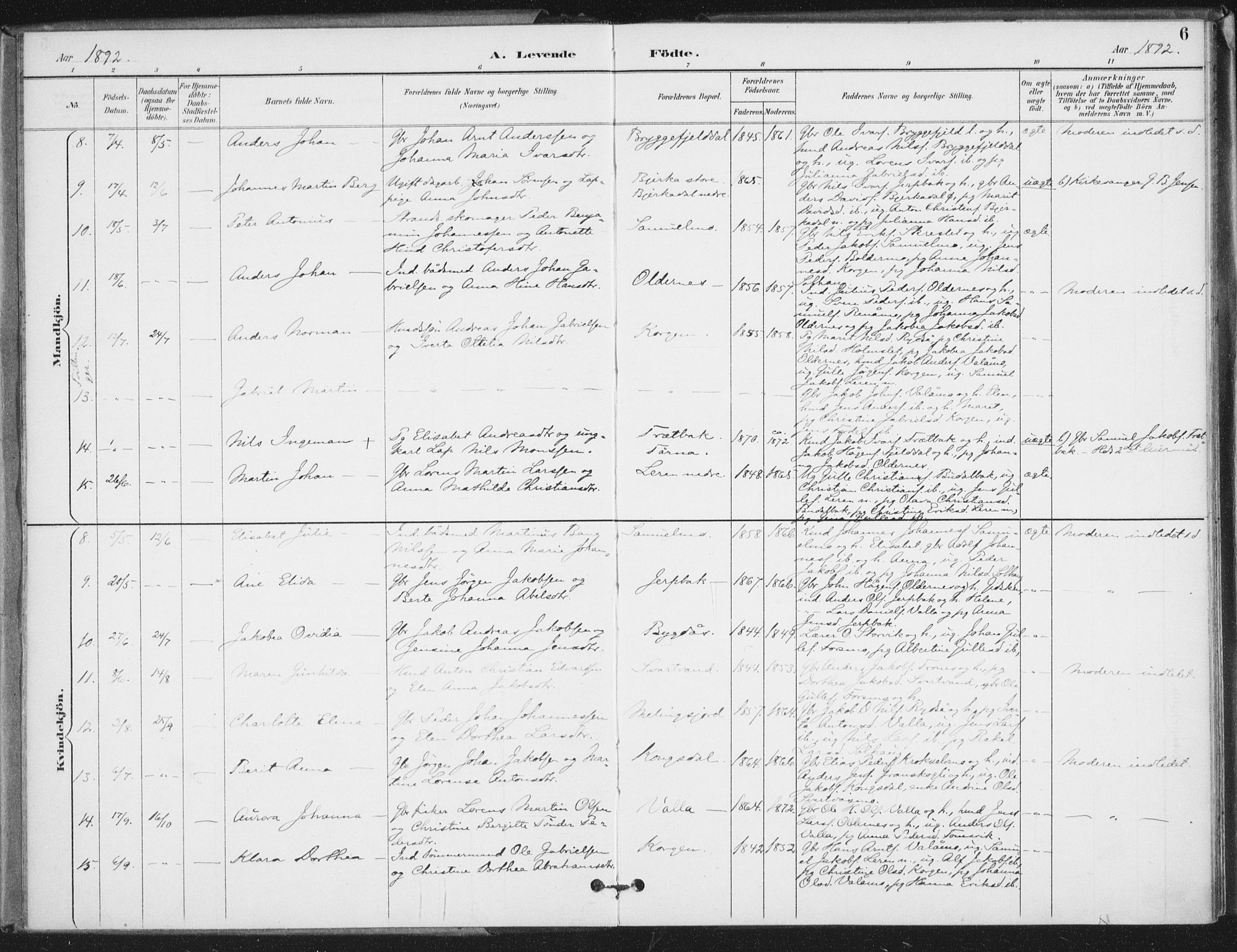 Ministerialprotokoller, klokkerbøker og fødselsregistre - Nordland, SAT/A-1459/826/L0380: Parish register (official) no. 826A03, 1891-1911, p. 6