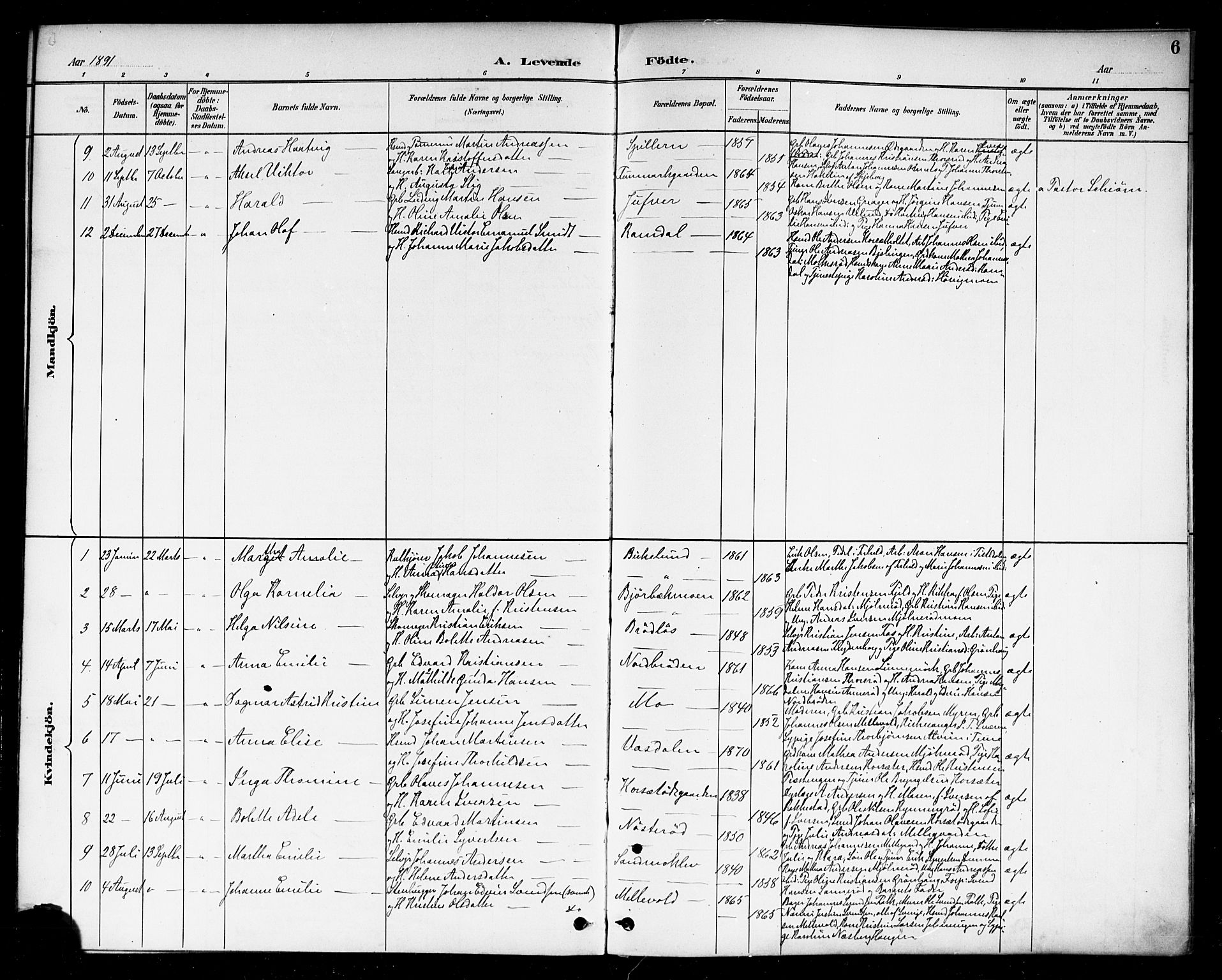 Berg prestekontor Kirkebøker, SAO/A-10902/F/Fc/L0002: Parish register (official) no. III 2, 1888-1901, p. 6