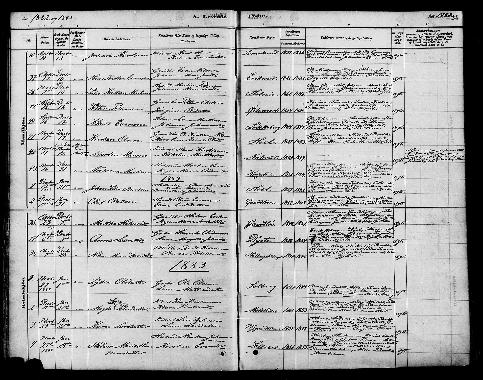 Vestre Toten prestekontor, SAH/PREST-108/H/Ha/Haa/L0010: Parish register (official) no. 10, 1878-1894, p. 24
