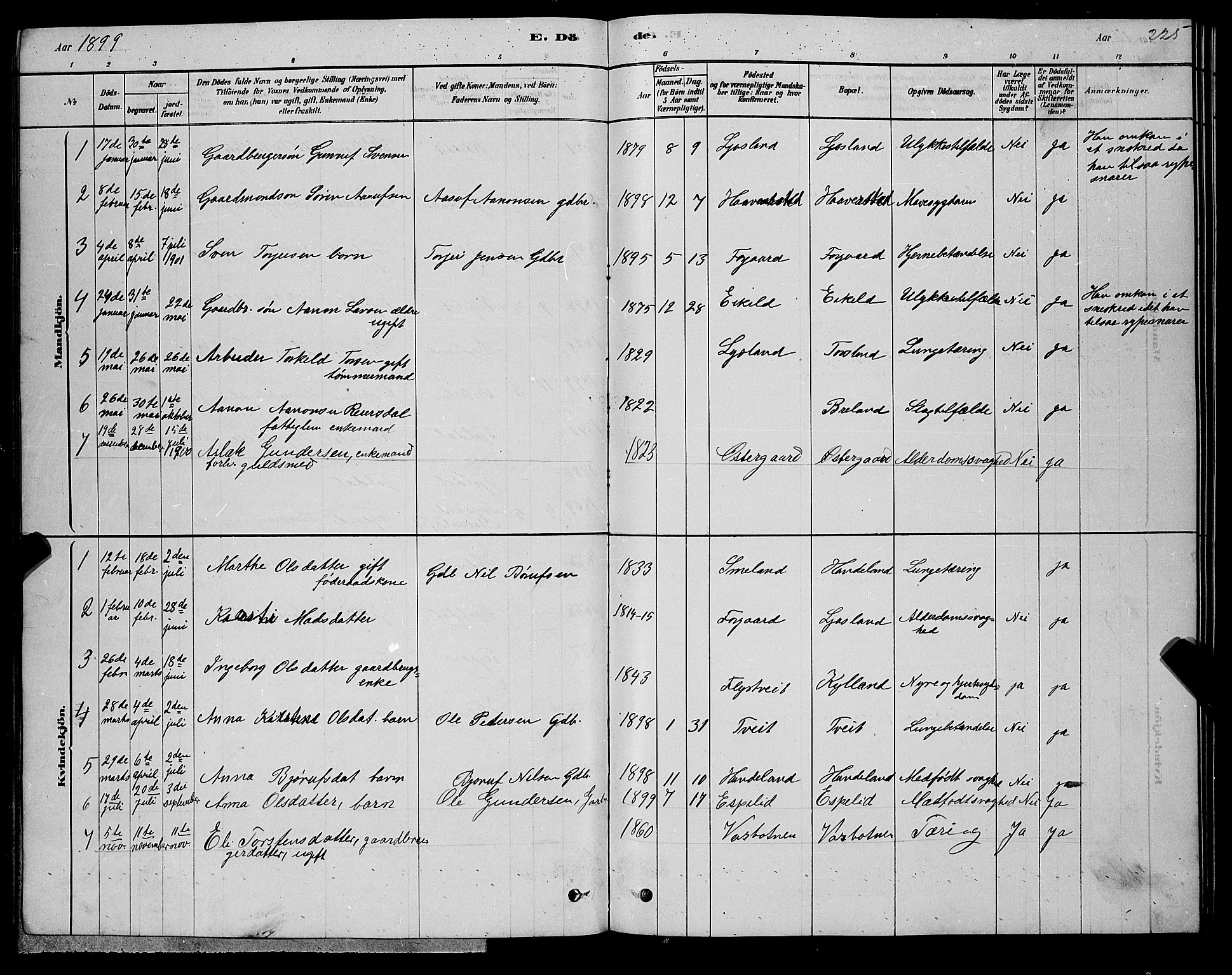 Åseral sokneprestkontor, SAK/1111-0051/F/Fb/L0002: Parish register (copy) no. B 2, 1878-1899, p. 225