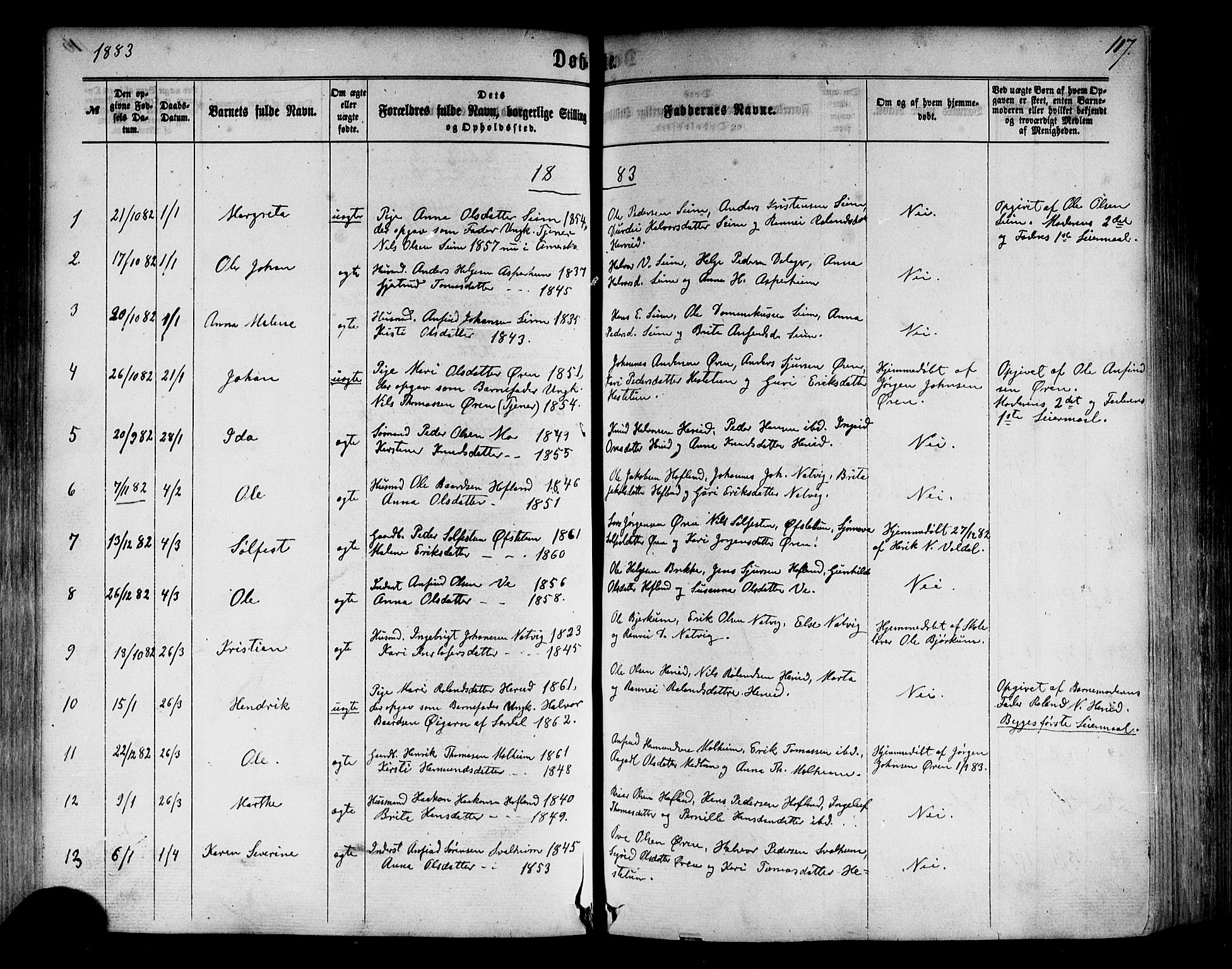 Årdal sokneprestembete, SAB/A-81701: Parish register (official) no. A 3, 1863-1886, p. 117