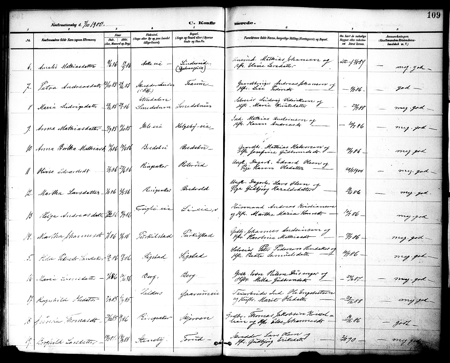 Nes prestekontor, Hedmark, SAH/PREST-020/K/Ka/L0010: Parish register (official) no. 10, 1887-1905, p. 109