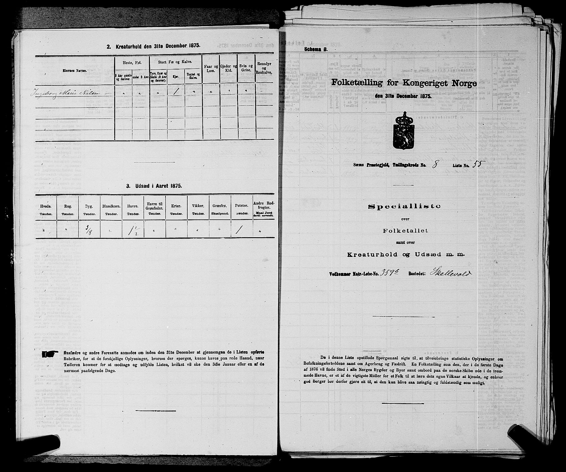 SAKO, 1875 census for 0721P Sem, 1875, p. 1389