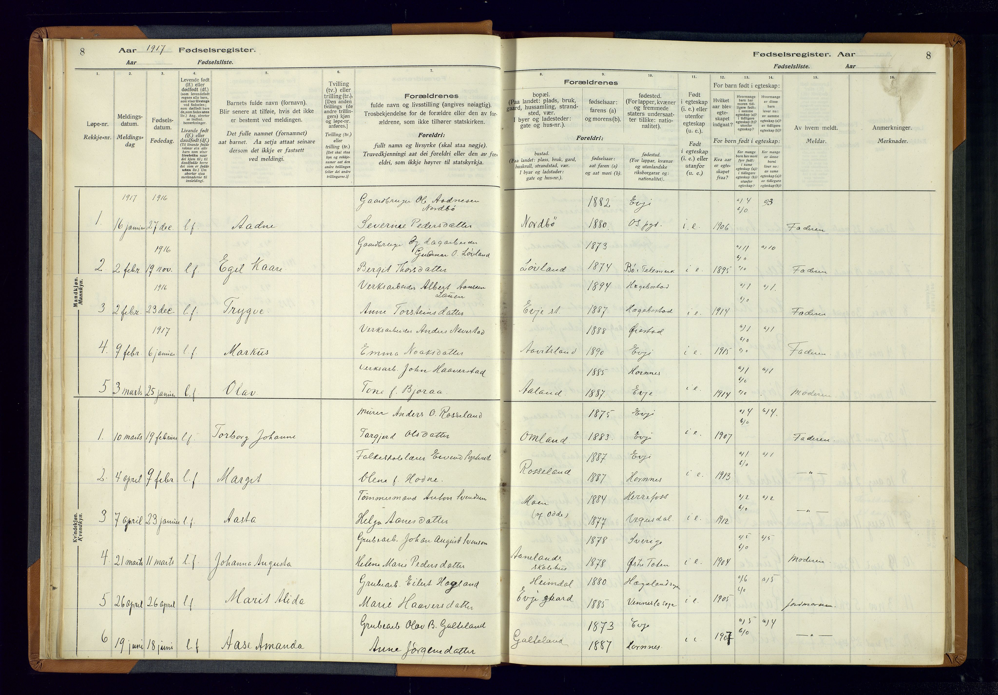 Evje sokneprestkontor, AV/SAK-1111-0008/J/Jc/L0004: Birth register no. 4, 1916-1968, p. 8