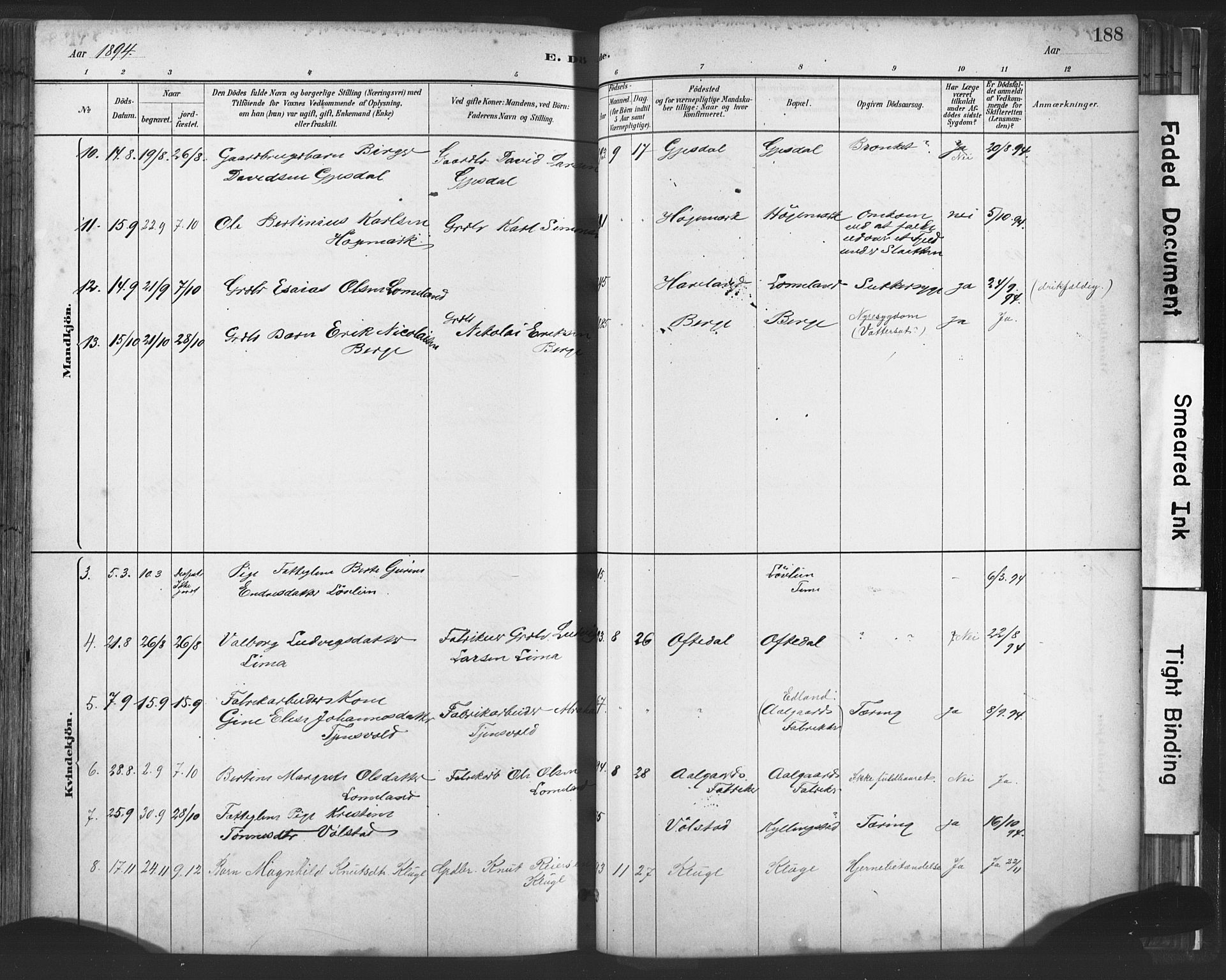 Lye sokneprestkontor, AV/SAST-A-101794/001/30BA/L0010: Parish register (official) no. A 10, 1881-1896, p. 188