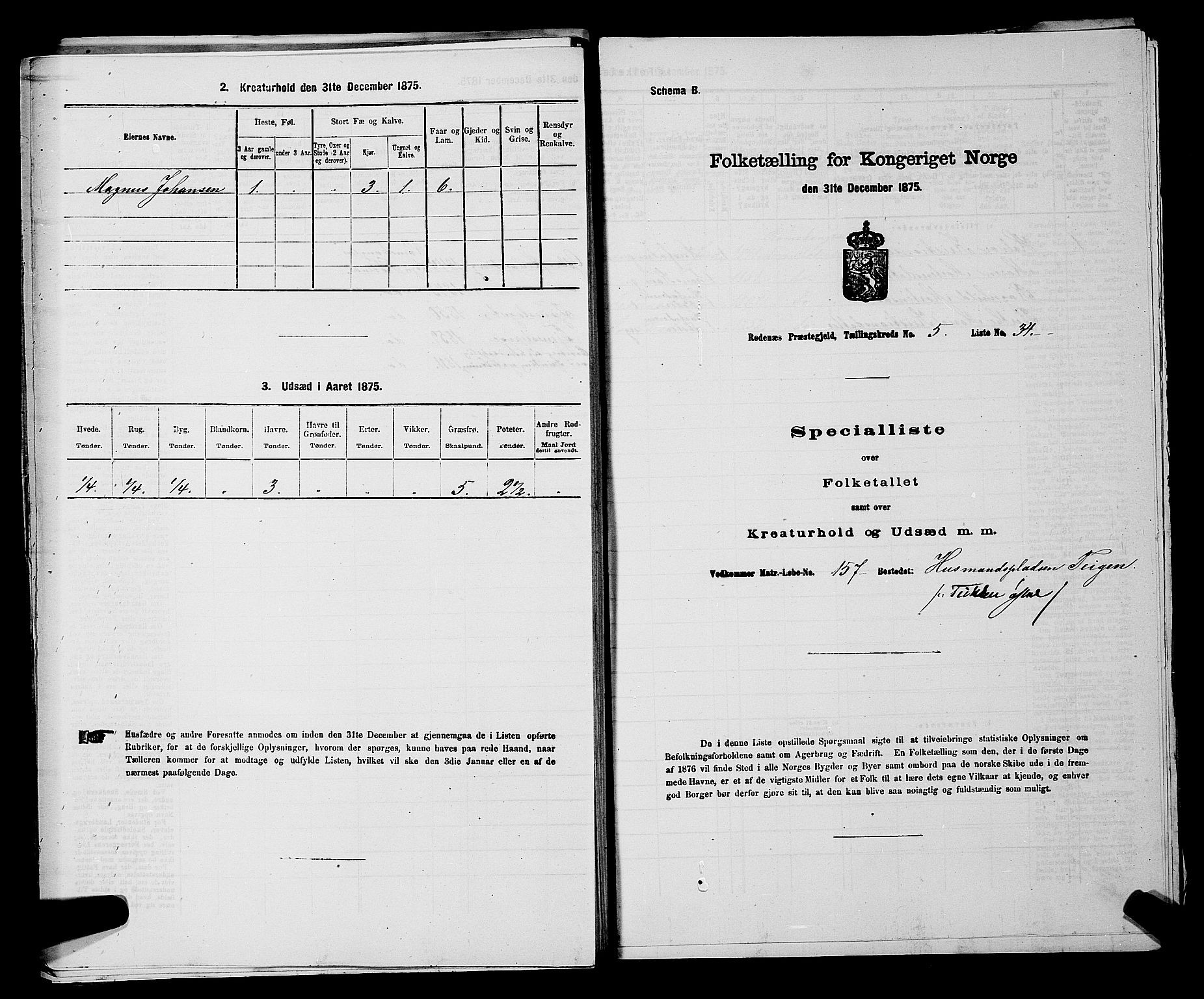 RA, 1875 census for 0120P Rødenes, 1875, p. 780