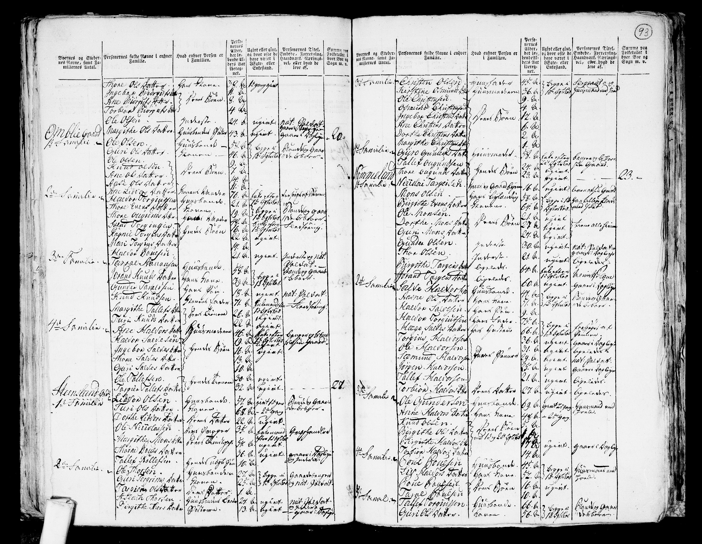 RA, 1801 census for 0940P Valle, 1801, p. 92b-93a