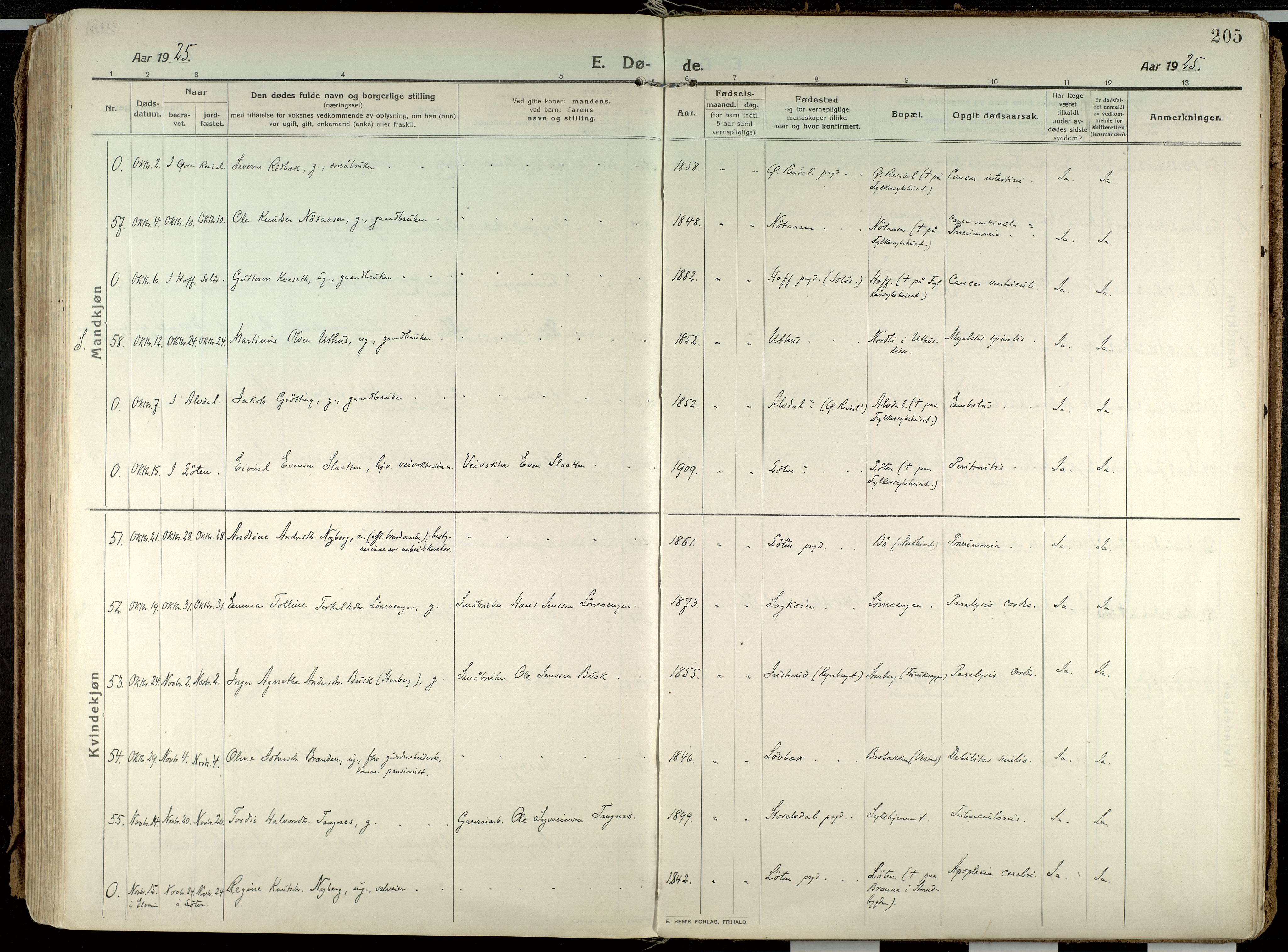 Elverum prestekontor, AV/SAH-PREST-044/H/Ha/Haa/L0021: Parish register (official) no. 21, 1913-1928, p. 205