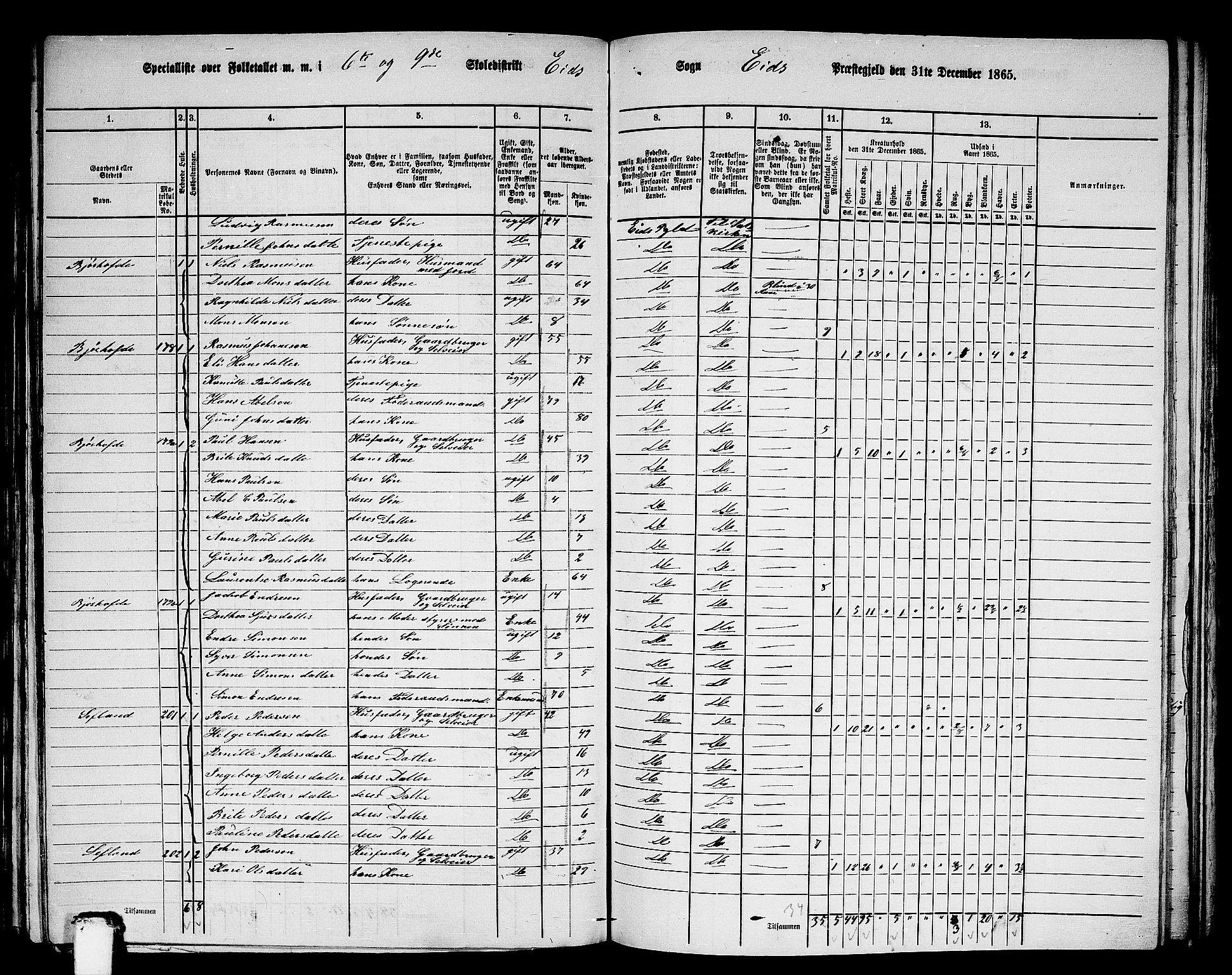 RA, 1865 census for Eid, 1865, p. 136