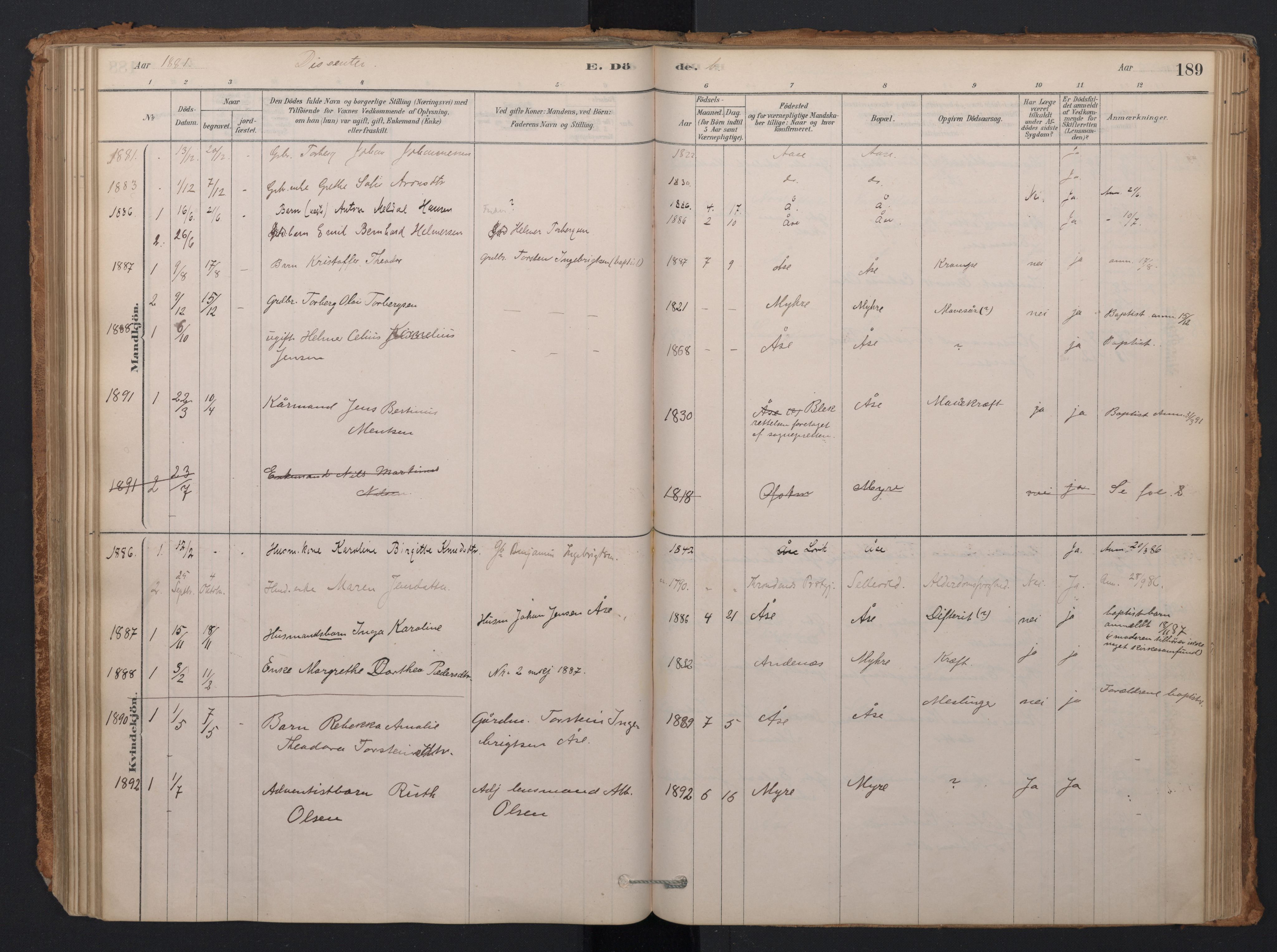 Ministerialprotokoller, klokkerbøker og fødselsregistre - Nordland, AV/SAT-A-1459/897/L1399: Parish register (official) no. 897A06, 1881-1896, p. 189