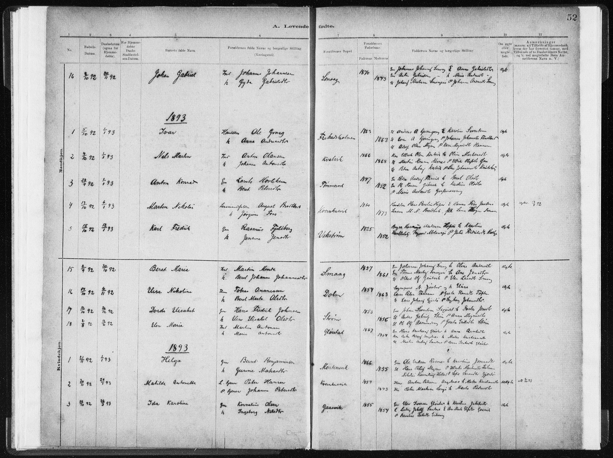 Ministerialprotokoller, klokkerbøker og fødselsregistre - Sør-Trøndelag, SAT/A-1456/634/L0533: Parish register (official) no. 634A09, 1882-1901, p. 52