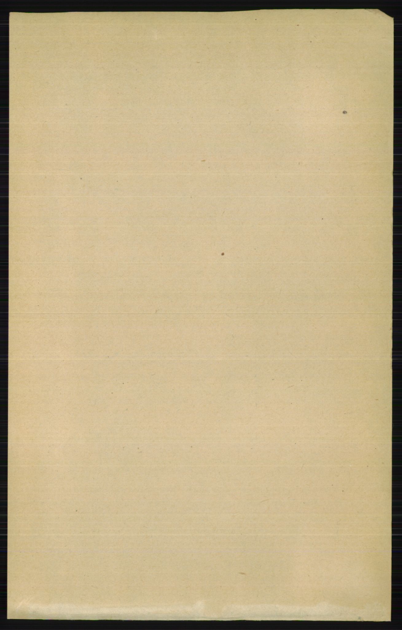 RA, 1891 census for 0412 Ringsaker, 1891, p. 10328
