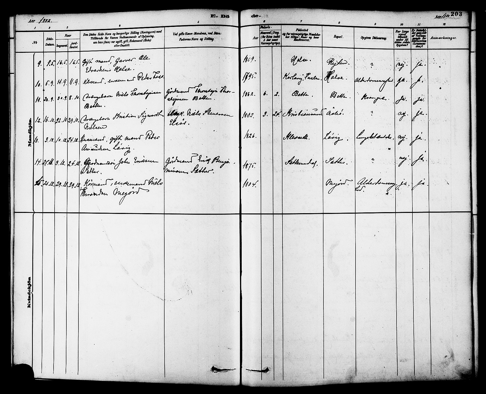 Ministerialprotokoller, klokkerbøker og fødselsregistre - Møre og Romsdal, AV/SAT-A-1454/576/L0885: Parish register (official) no. 576A03, 1880-1898, p. 203