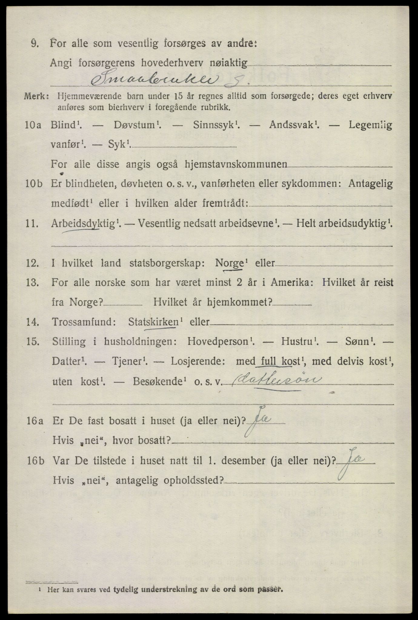 SAKO, 1920 census for Gol, 1920, p. 2219