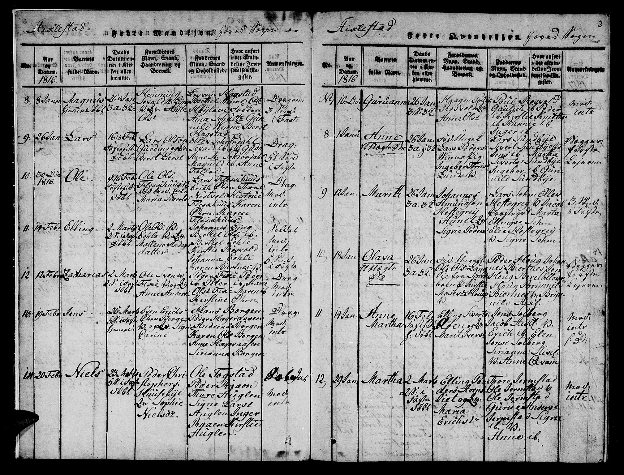 Ministerialprotokoller, klokkerbøker og fødselsregistre - Nord-Trøndelag, SAT/A-1458/723/L0251: Parish register (copy) no. 723C01 /1, 1816-1831, p. 3