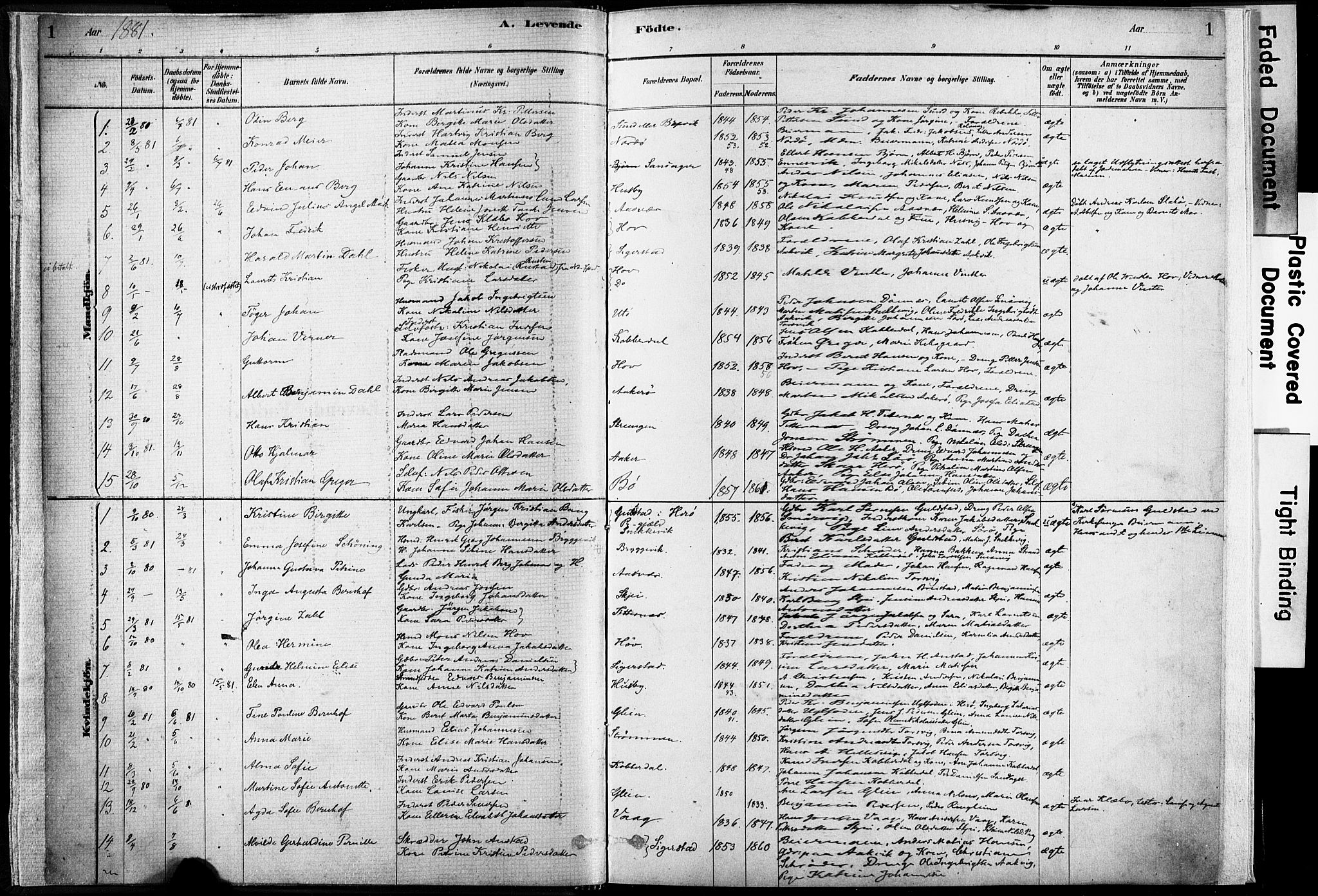Ministerialprotokoller, klokkerbøker og fødselsregistre - Nordland, SAT/A-1459/835/L0525: Parish register (official) no. 835A03I, 1881-1910, p. 1