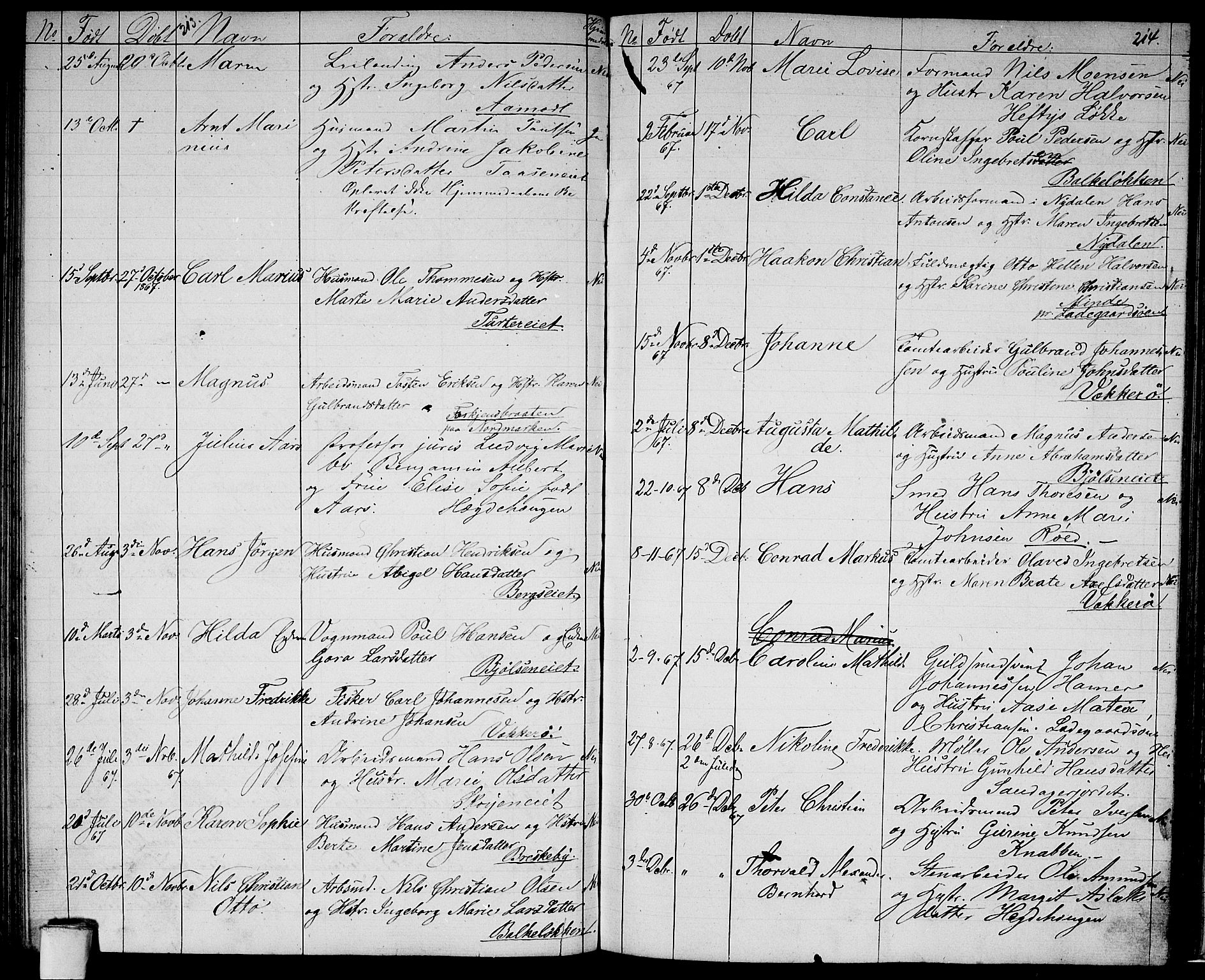 Vestre Aker prestekontor Kirkebøker, AV/SAO-A-10025/G/Ga/L0001: Parish register (copy) no. I 1, 1859-1871, p. 213-214