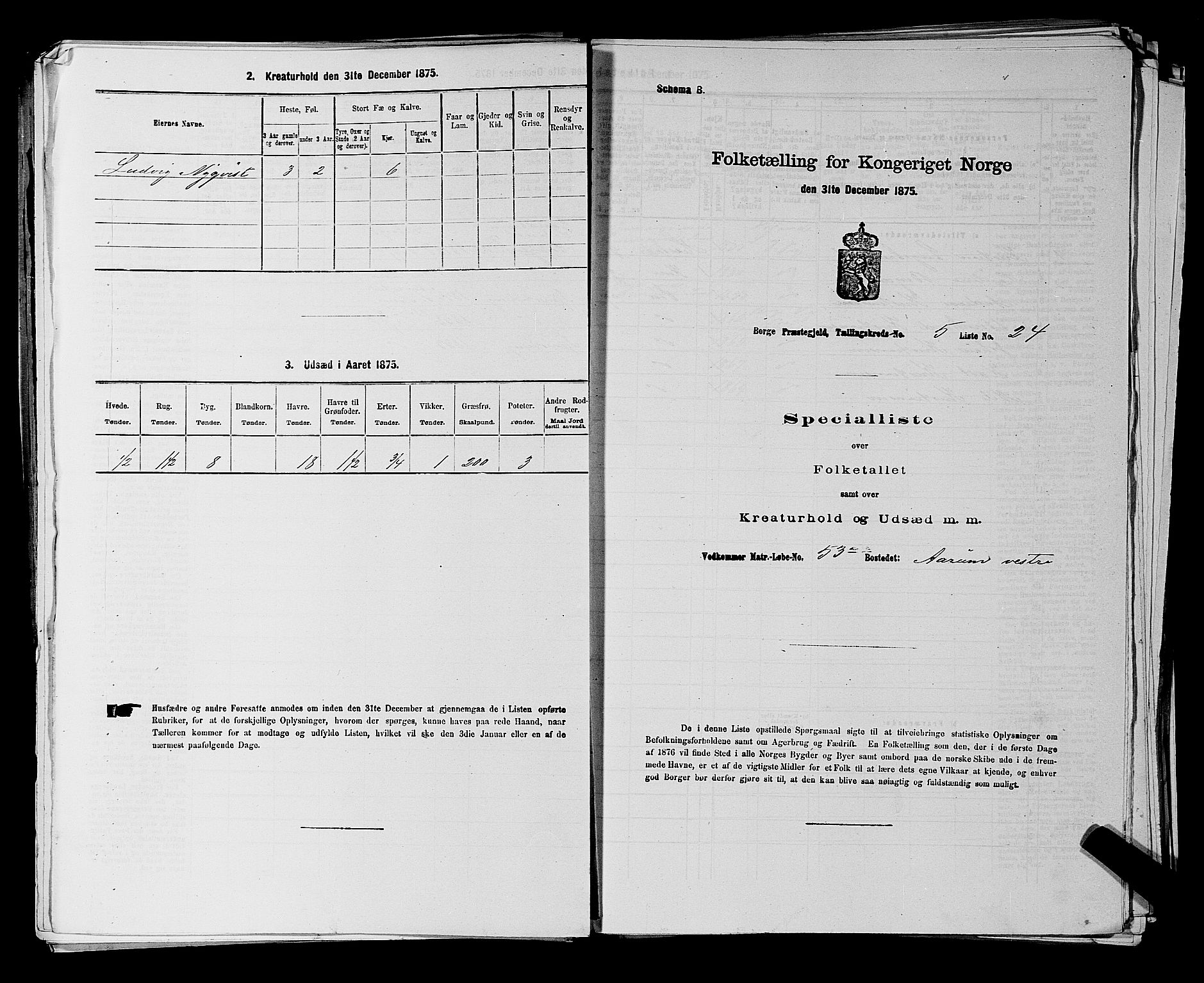 RA, 1875 census for 0113P Borge, 1875, p. 813