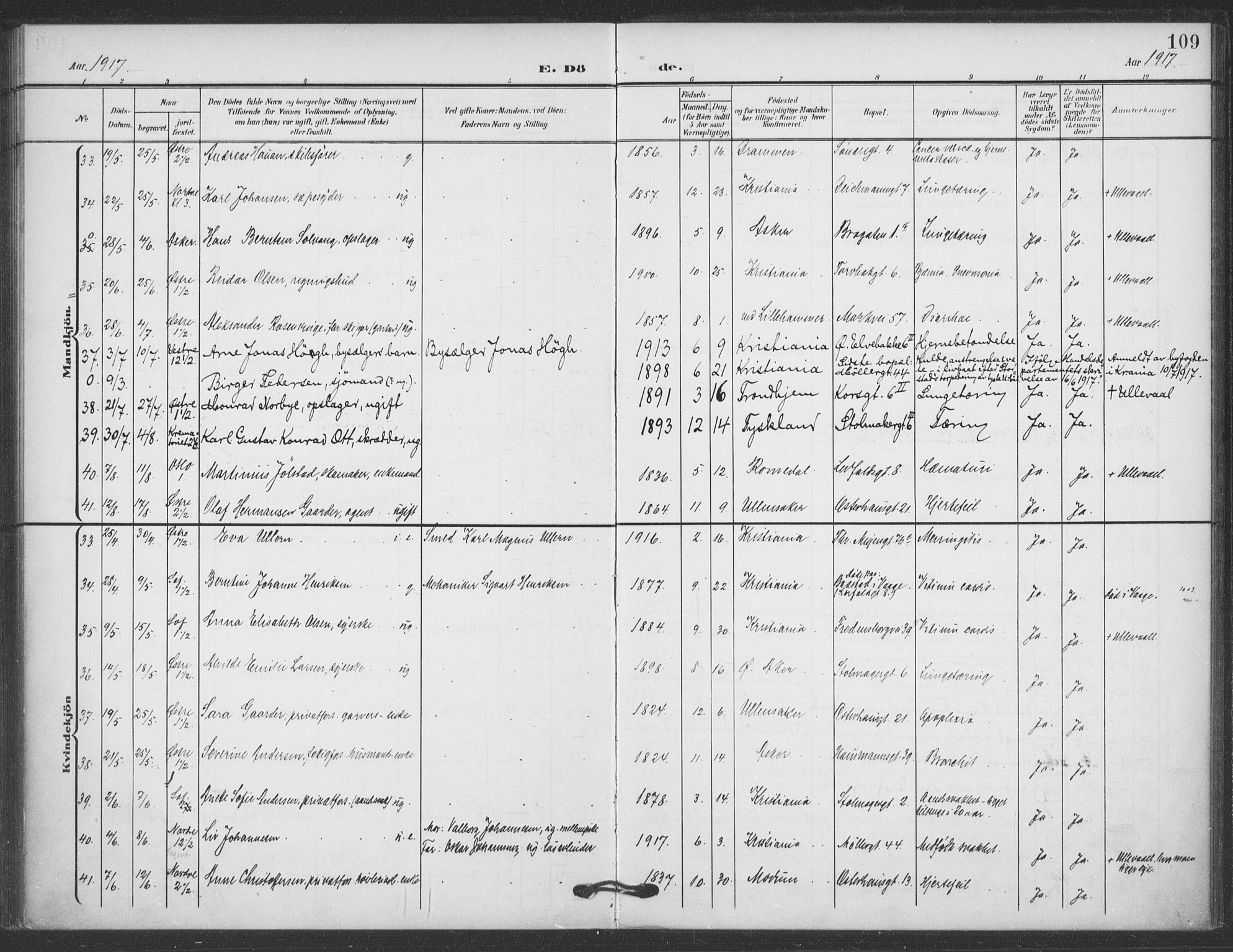 Jakob prestekontor Kirkebøker, AV/SAO-A-10850/F/Fa/L0011: Parish register (official) no. 11, 1906-1920, p. 109